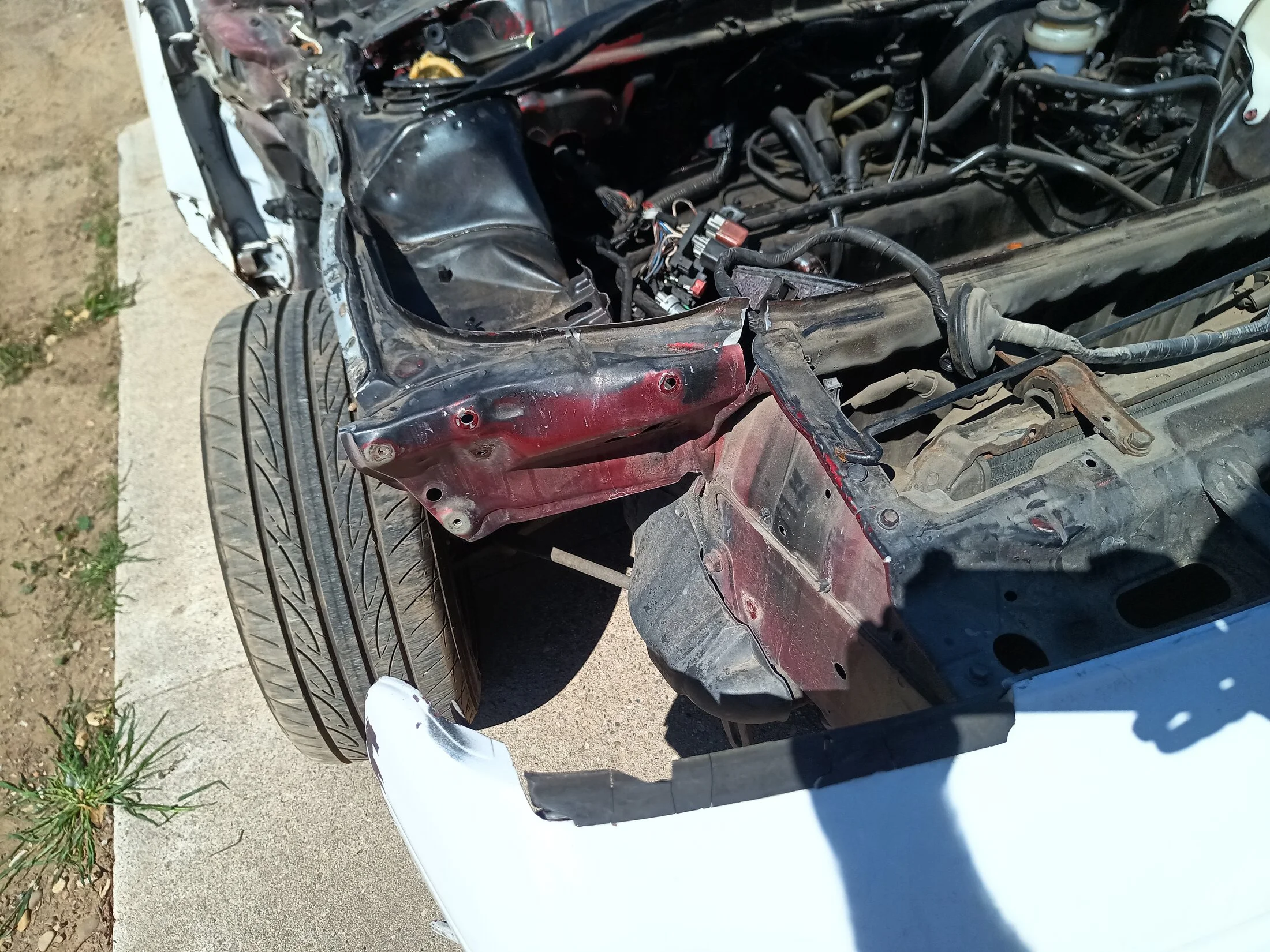 IMG_20250309_140842_991.webp