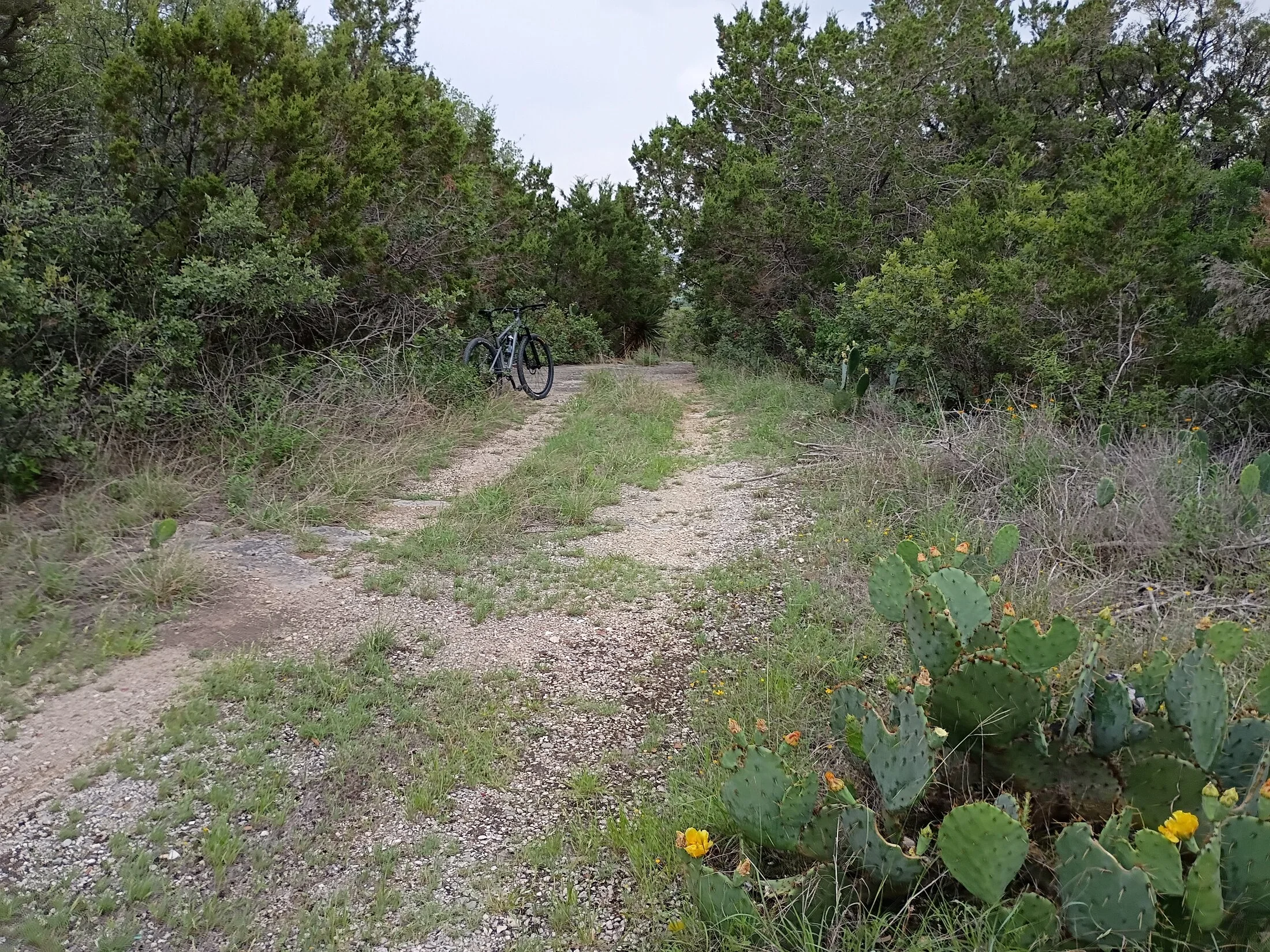 IMG_20250428_171741783.webp