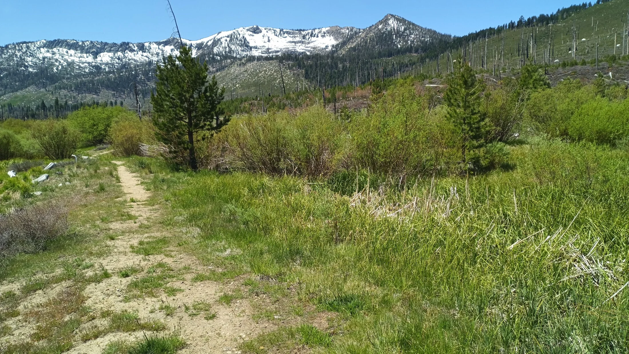 IMG_20250526_112809_732.webp