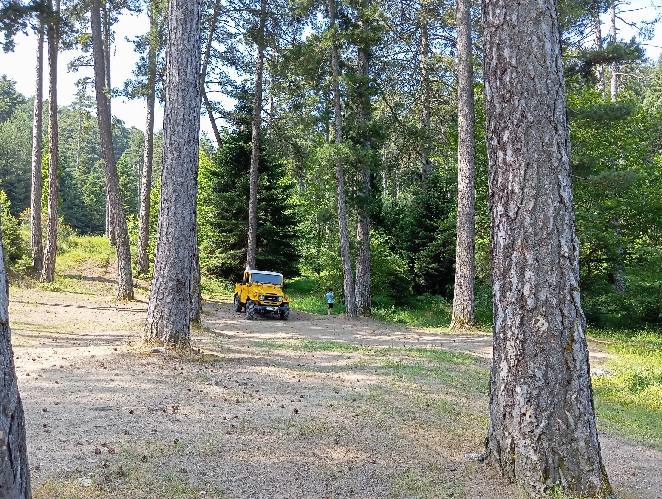 IMG_20250609_105731.webp
