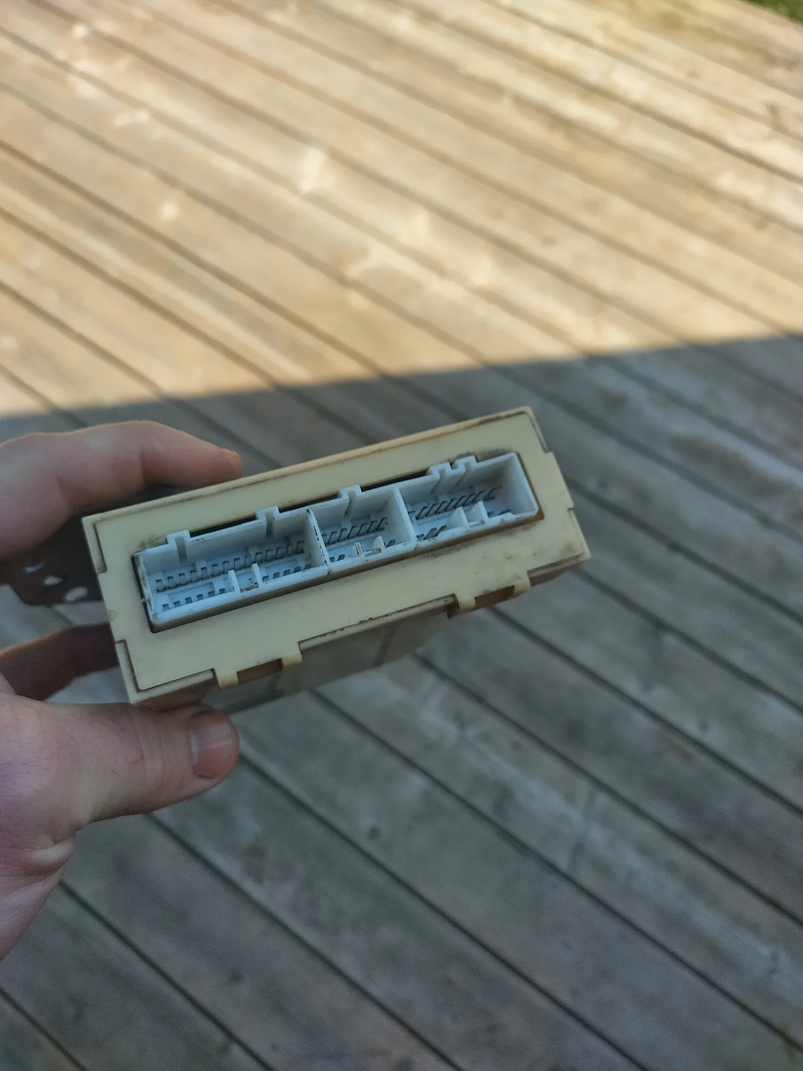 IMG_20250630_103626_HDR.webp