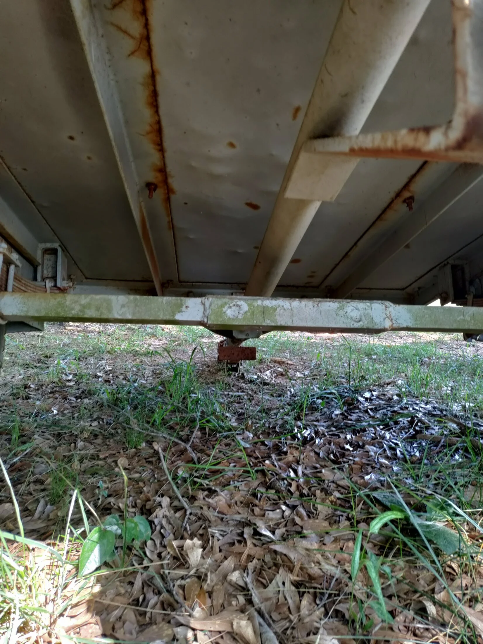 IMG_20250630_163156.webp
