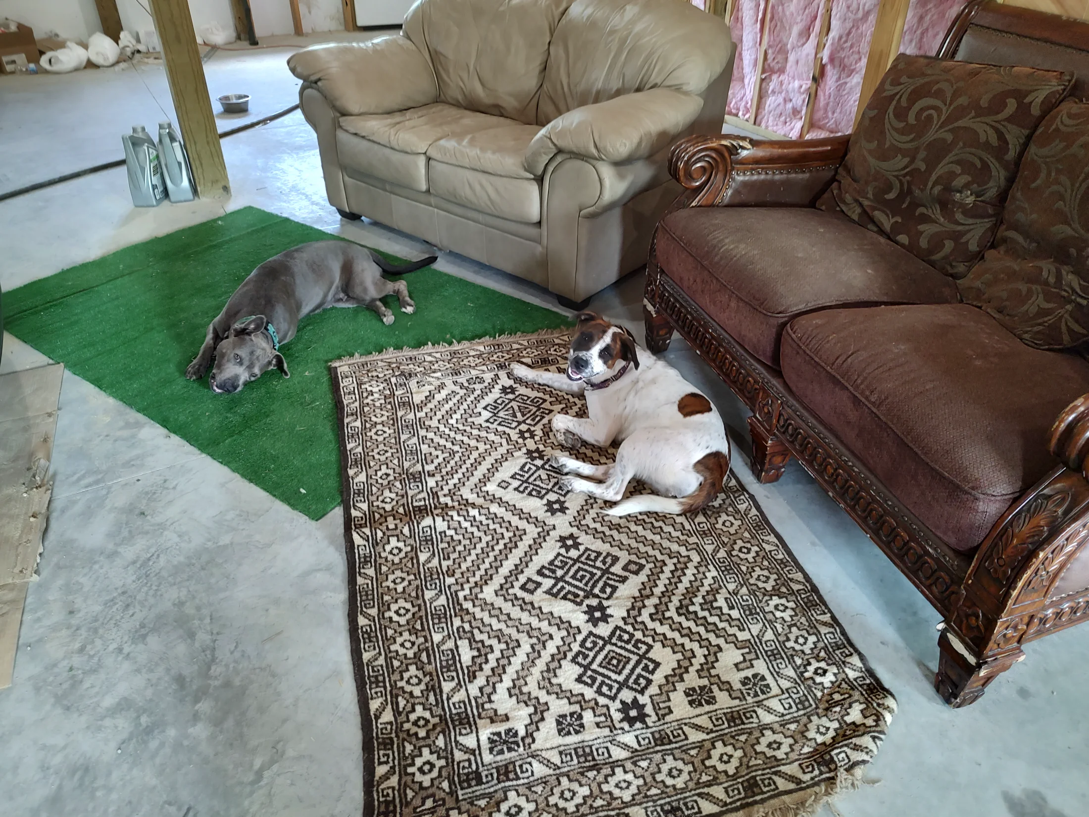 IMG_20250904_153916849_HDR.webp