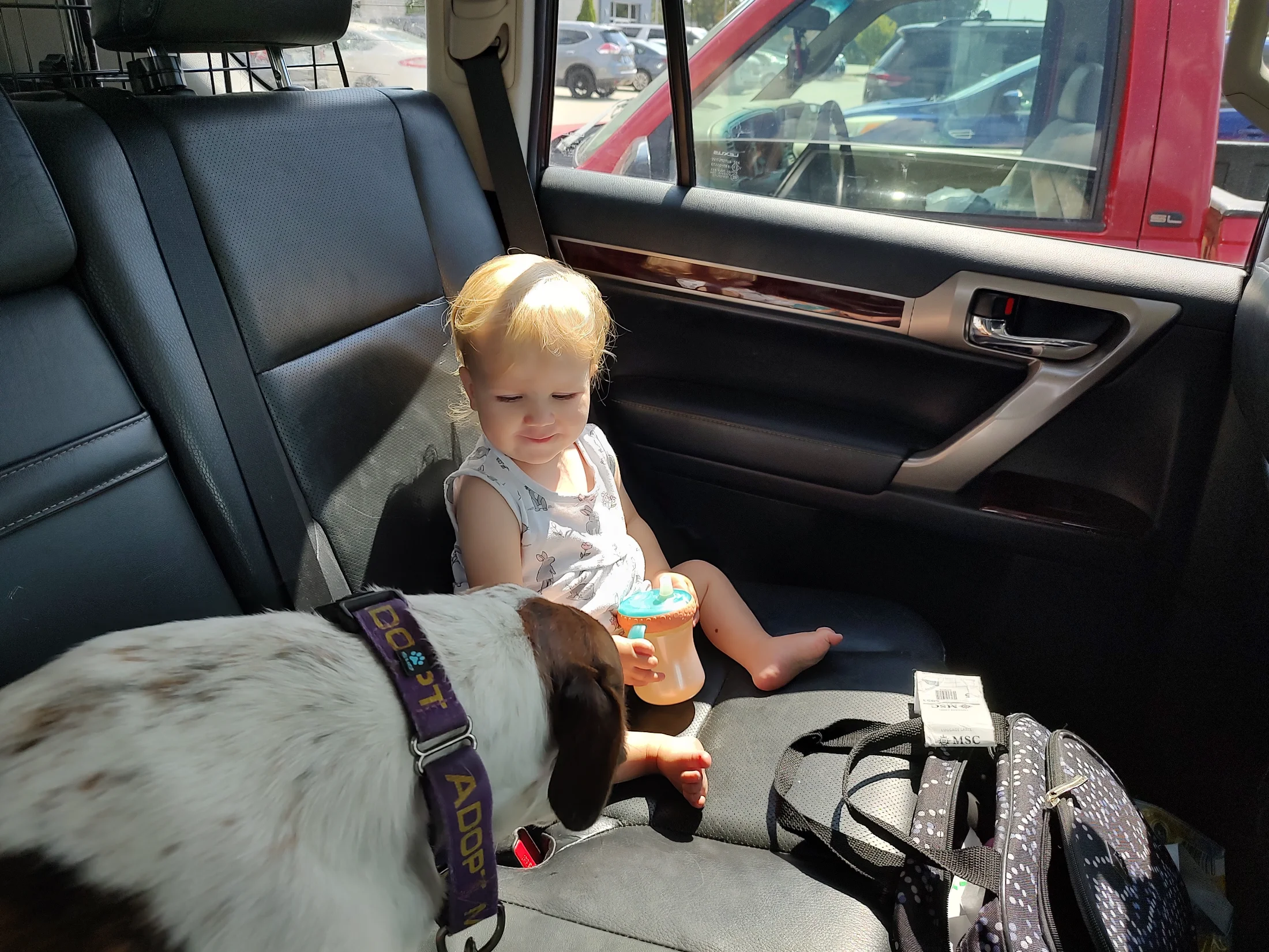 IMG_20250915_135428886_HDR.webp
