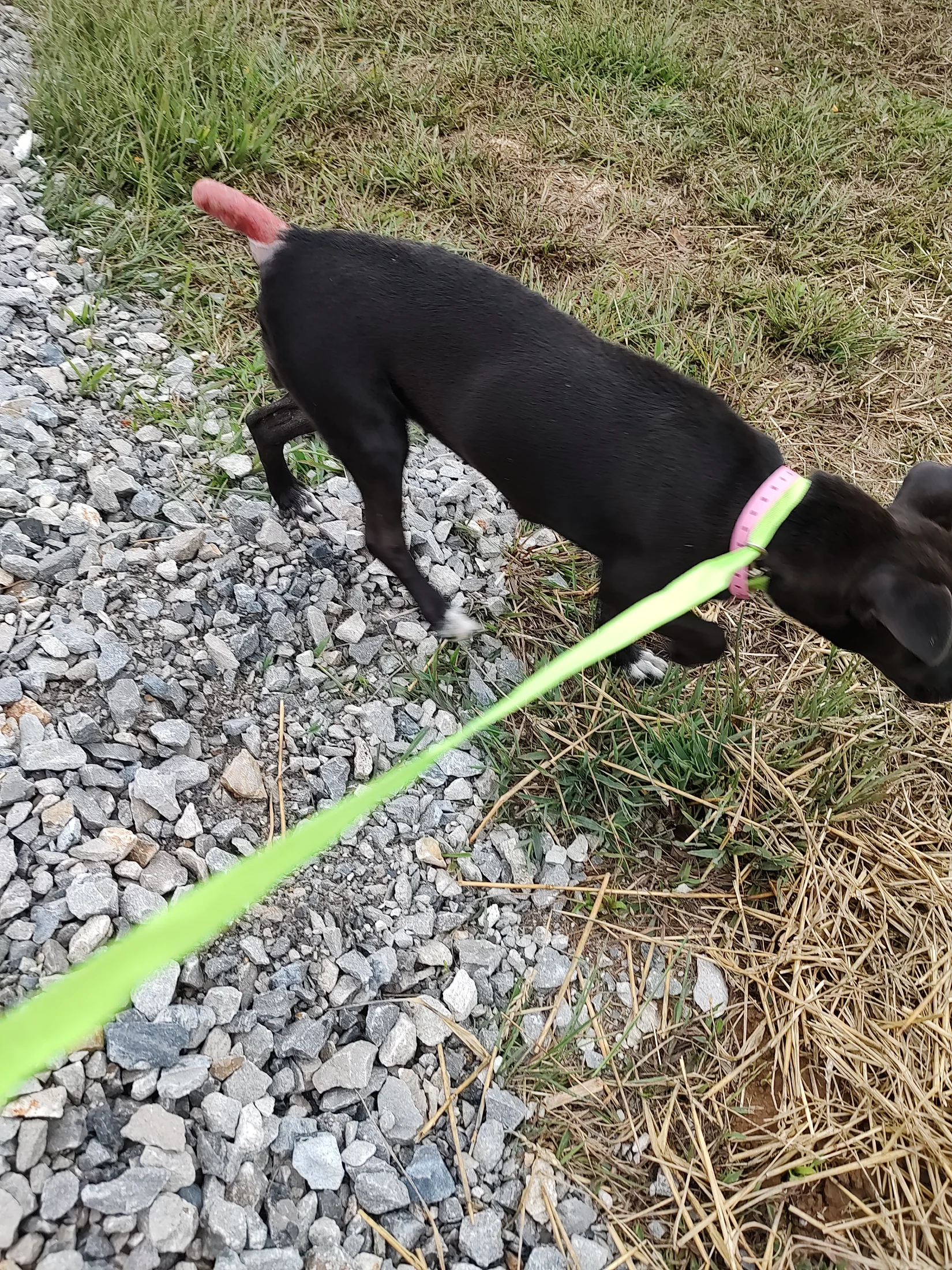 IMG_20250924_161647788_HDR.webp