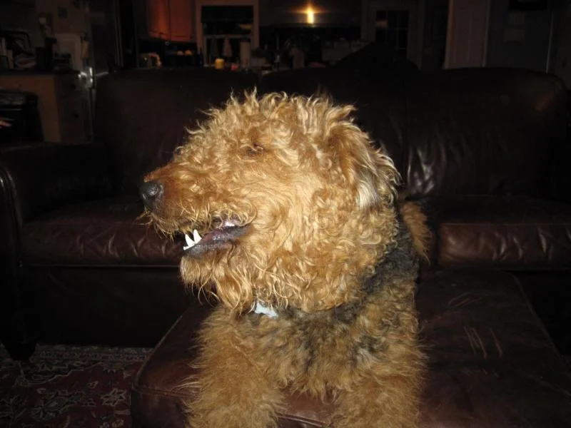 IMG_2046.webp