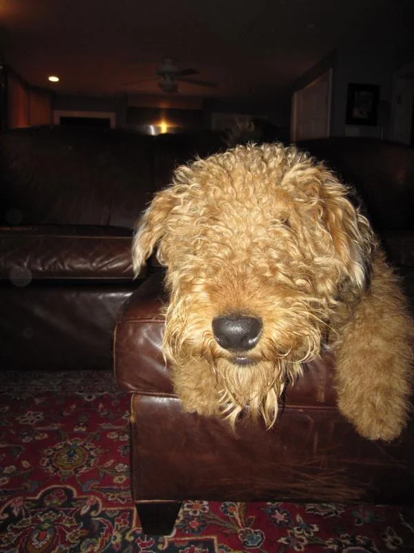 IMG_2047.webp