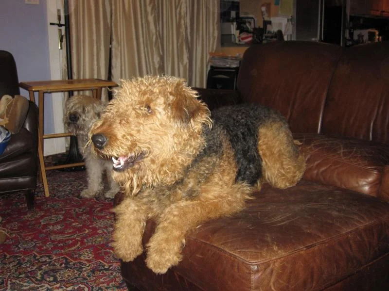 IMG_2049_2.webp