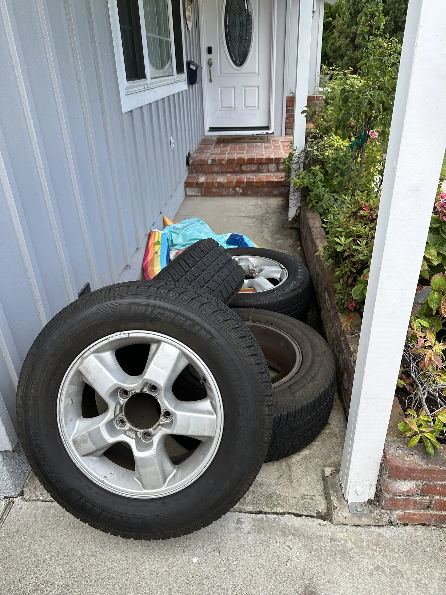 IMG_2062.webp