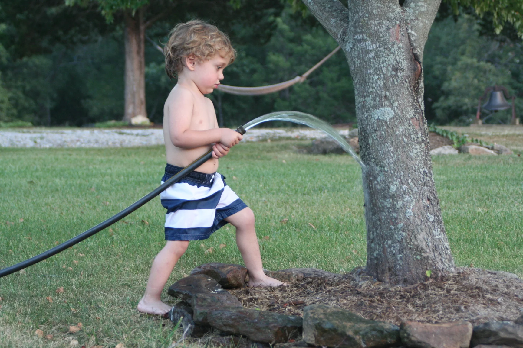 IMG_2067.webp
