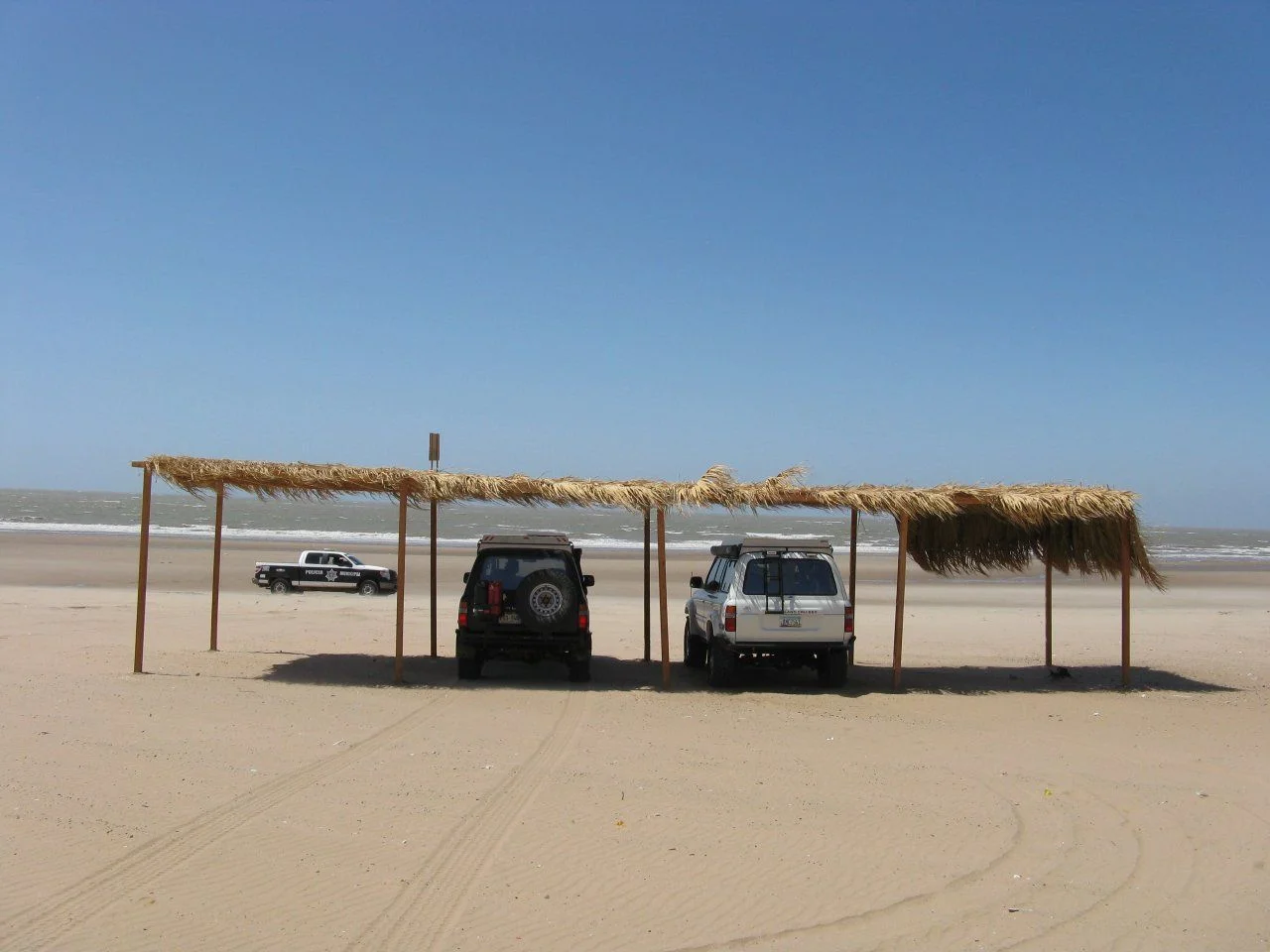 IMG_2091.webp