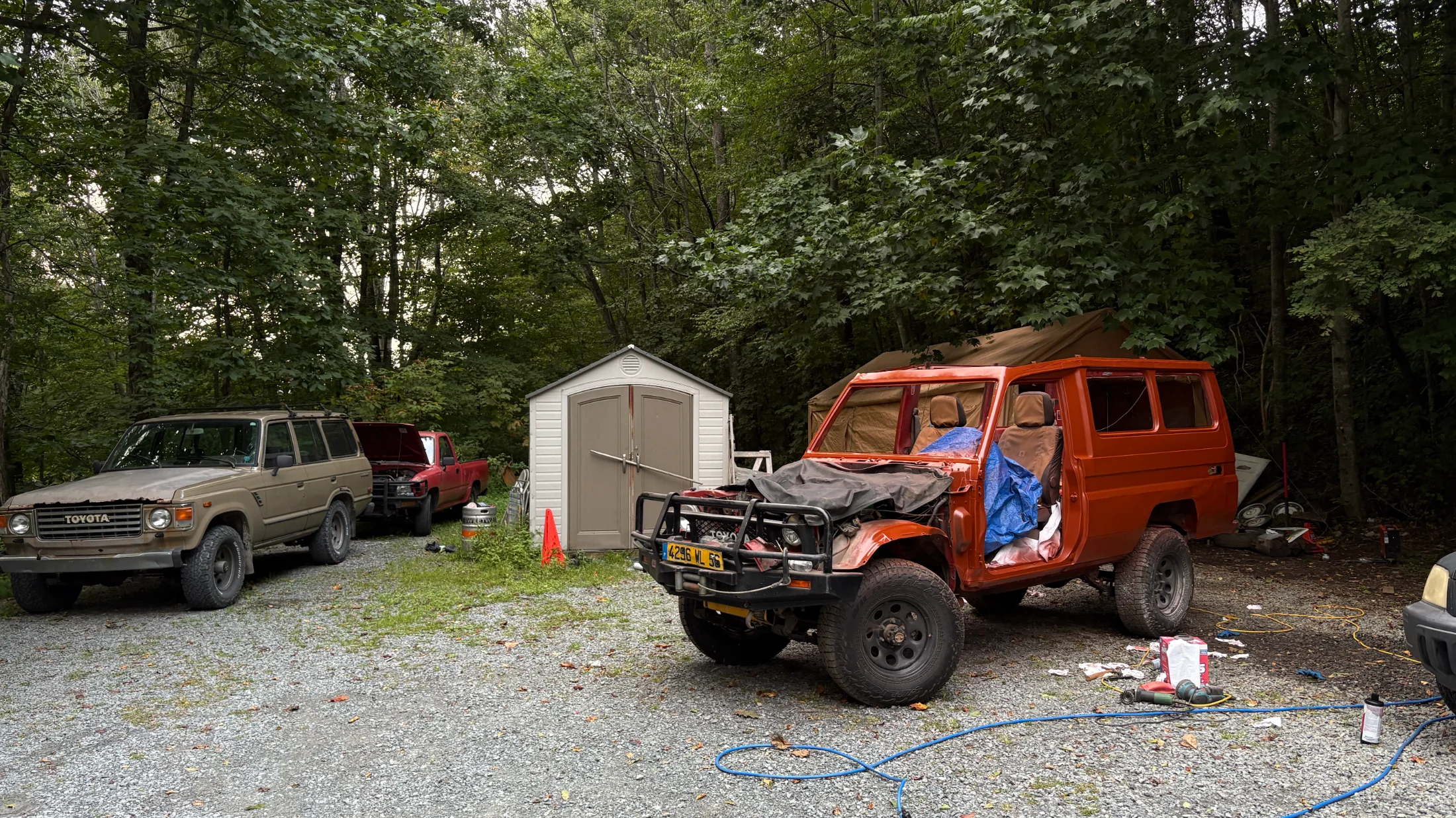 IMG_2135.webp