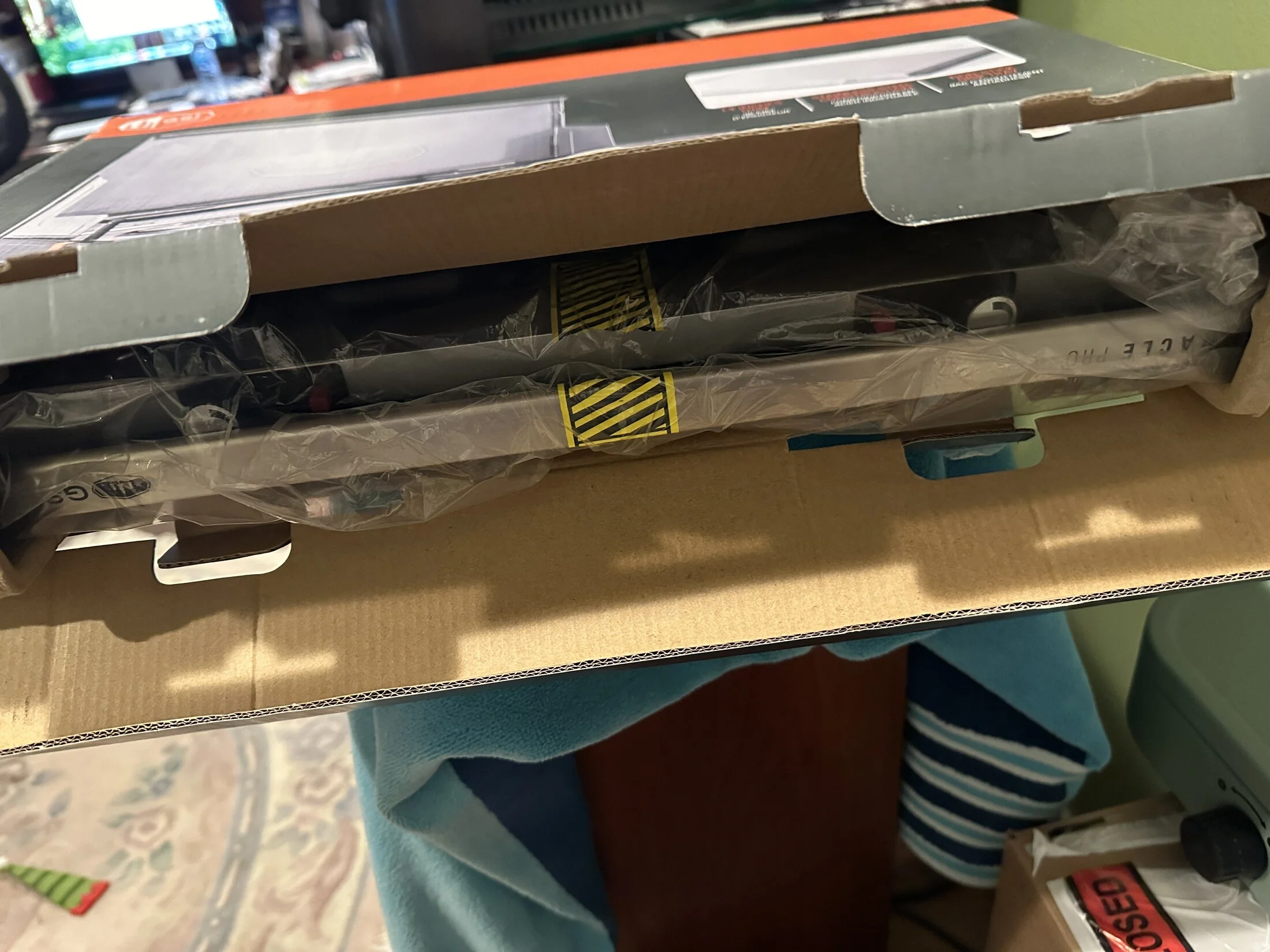 IMG_2312.jpeg
