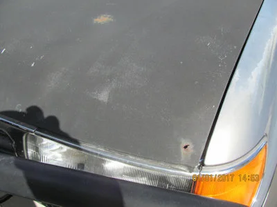 IMG_2367.webp