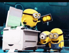 IMG_2420.gif