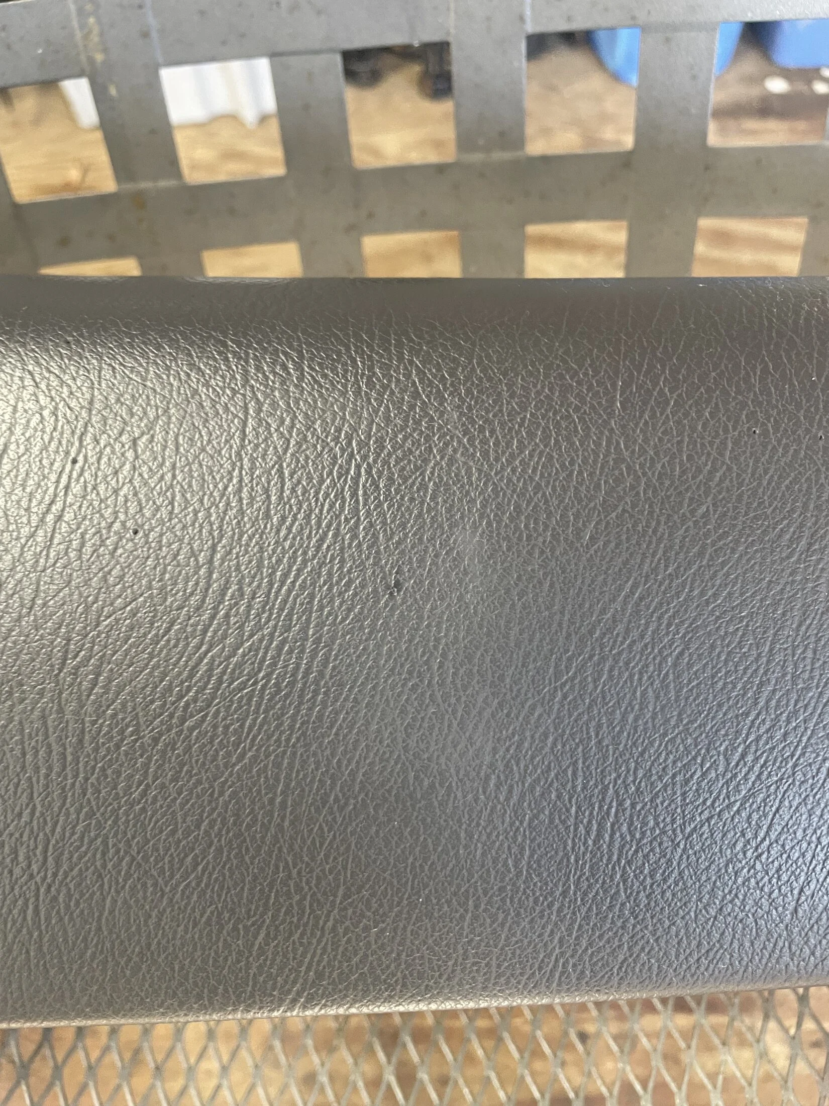IMG_2537.jpeg