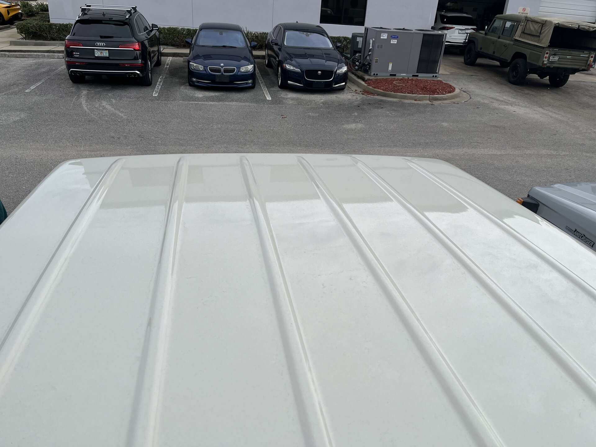 IMG_2633.jpeg