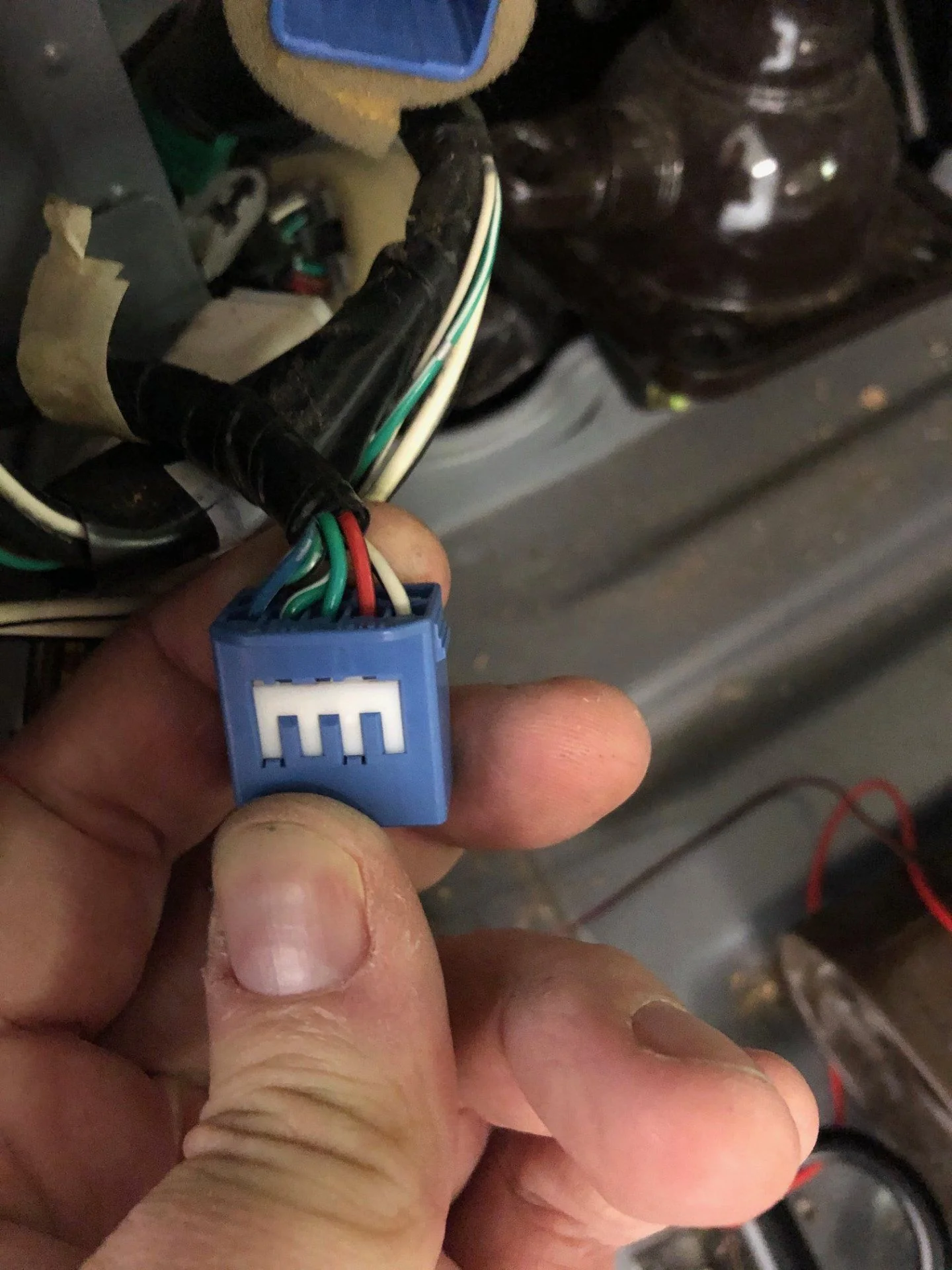 Which is a (+) wire from a reverse bulb in lower hitch? | IH8MUD.com ...