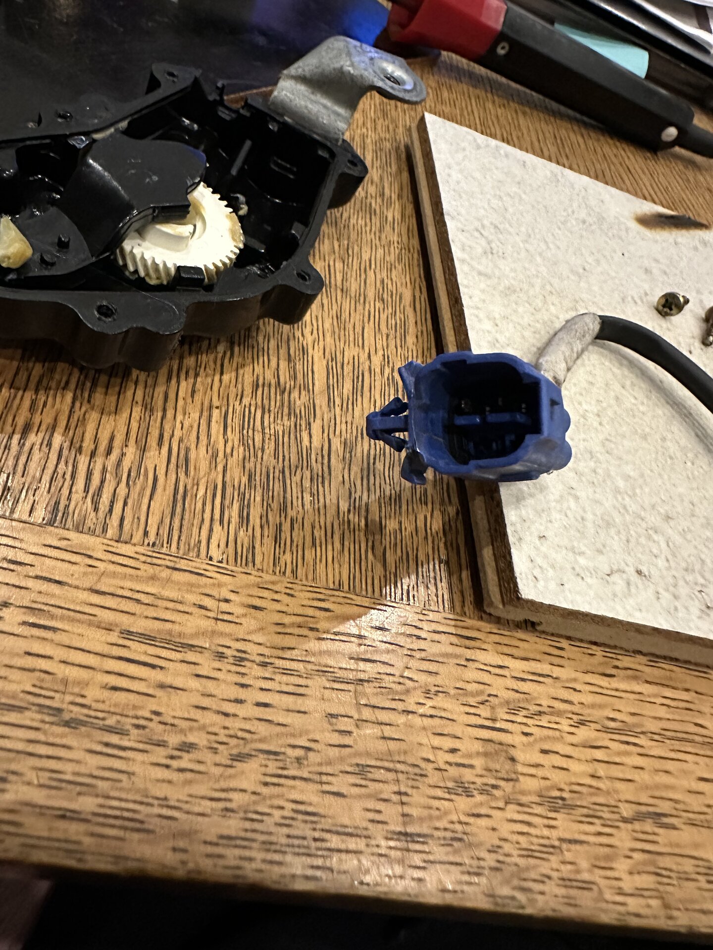 IMG_2861.jpeg