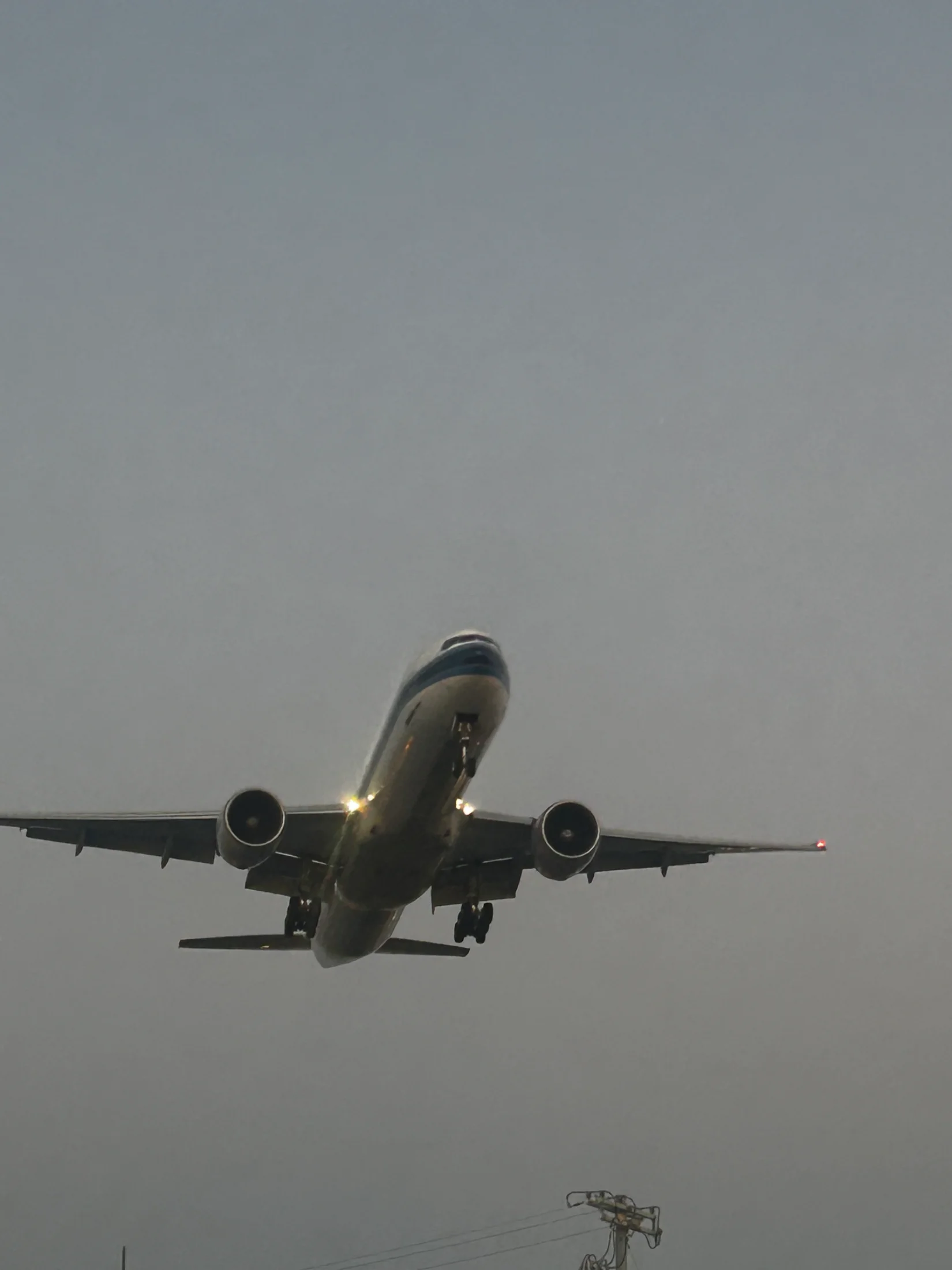 IMG_2894.webp