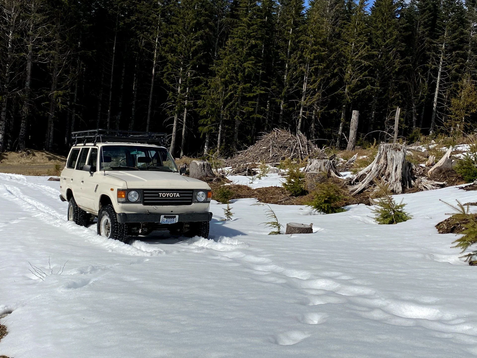 Seattle, 1981 Toyota Land Cruiser FJ60