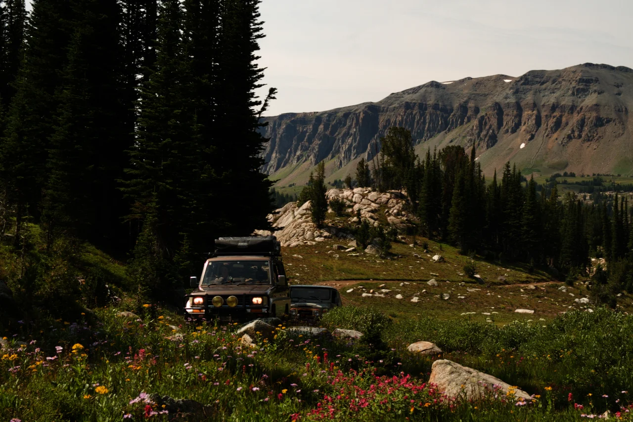 IMG_2913 (1).webp