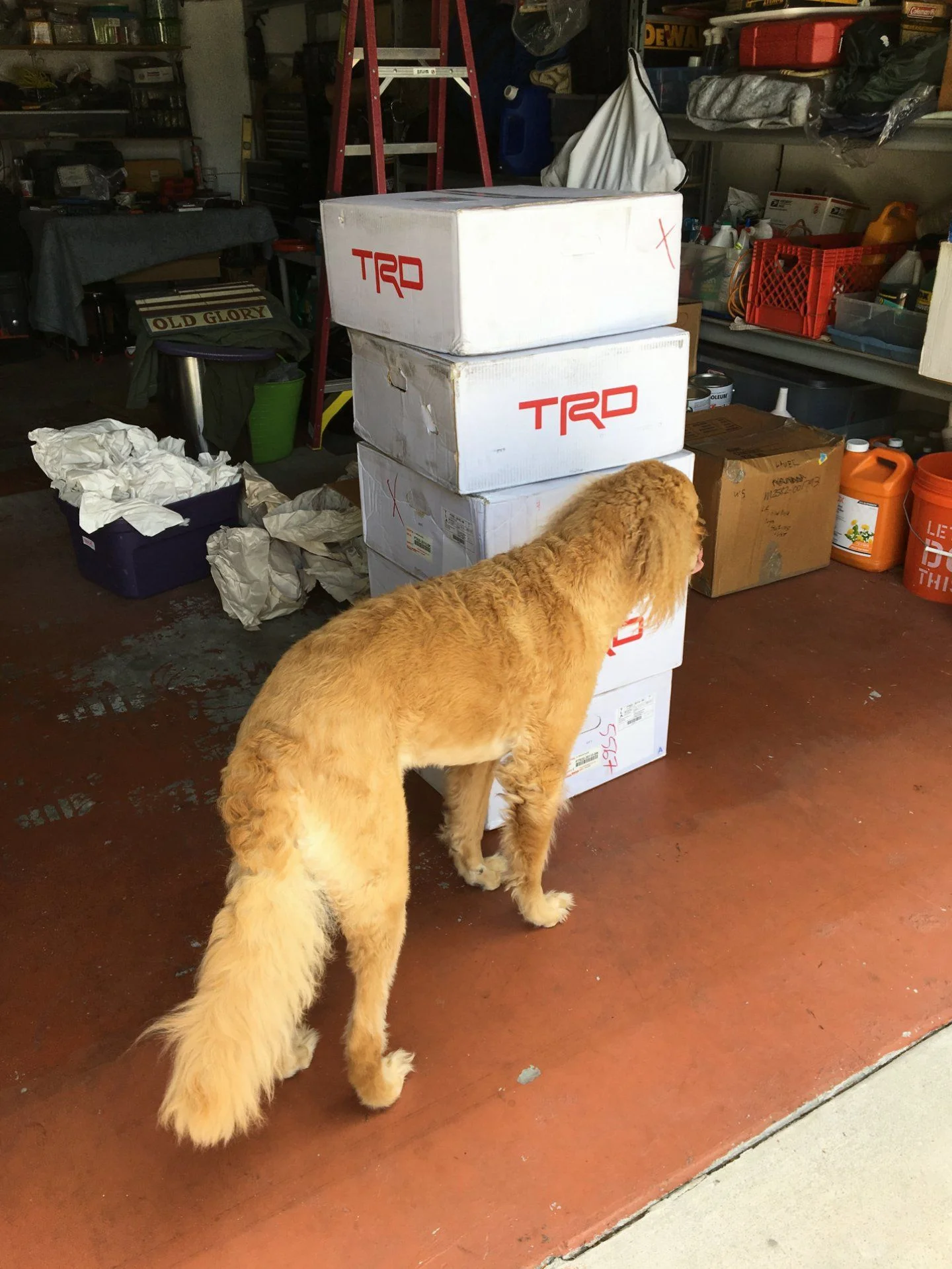 TRD PRO Wheels on 40 | IH8MUD.com Forum | Toyota, Lexus & Off-Road ...