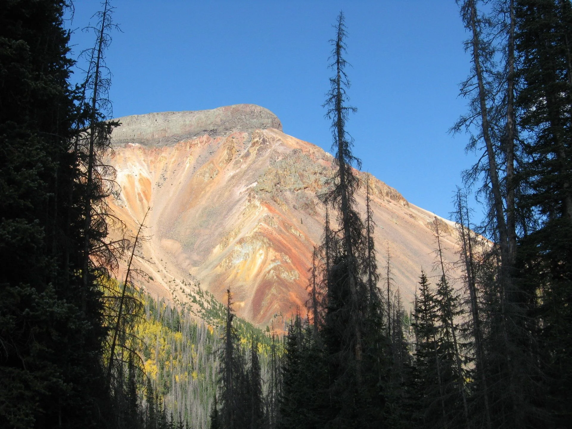IMG_3120.JPG
