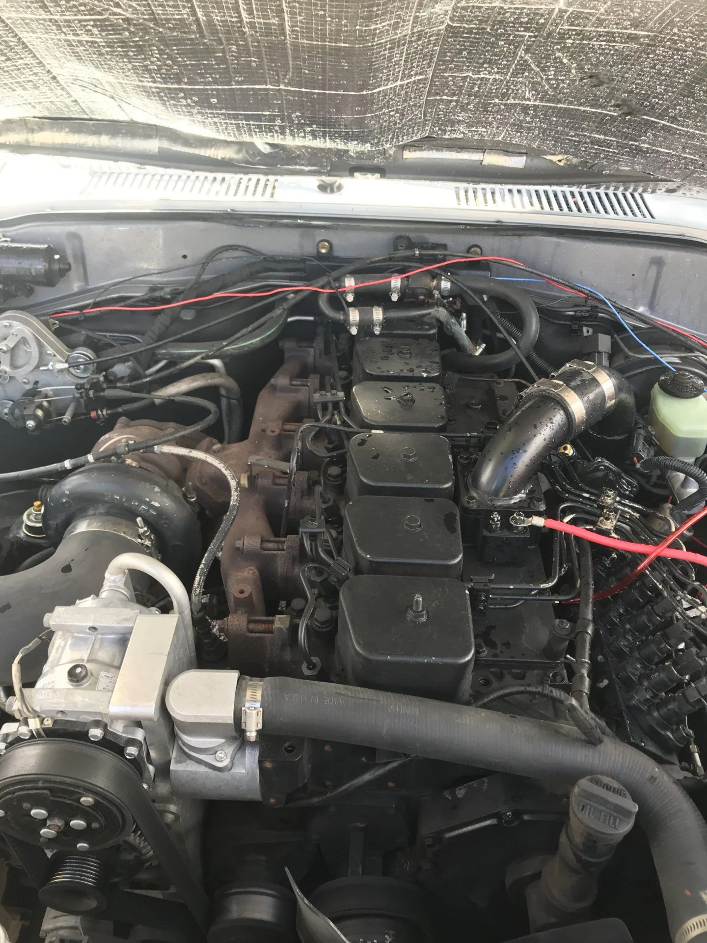 1994 FZJ80 with 6BT