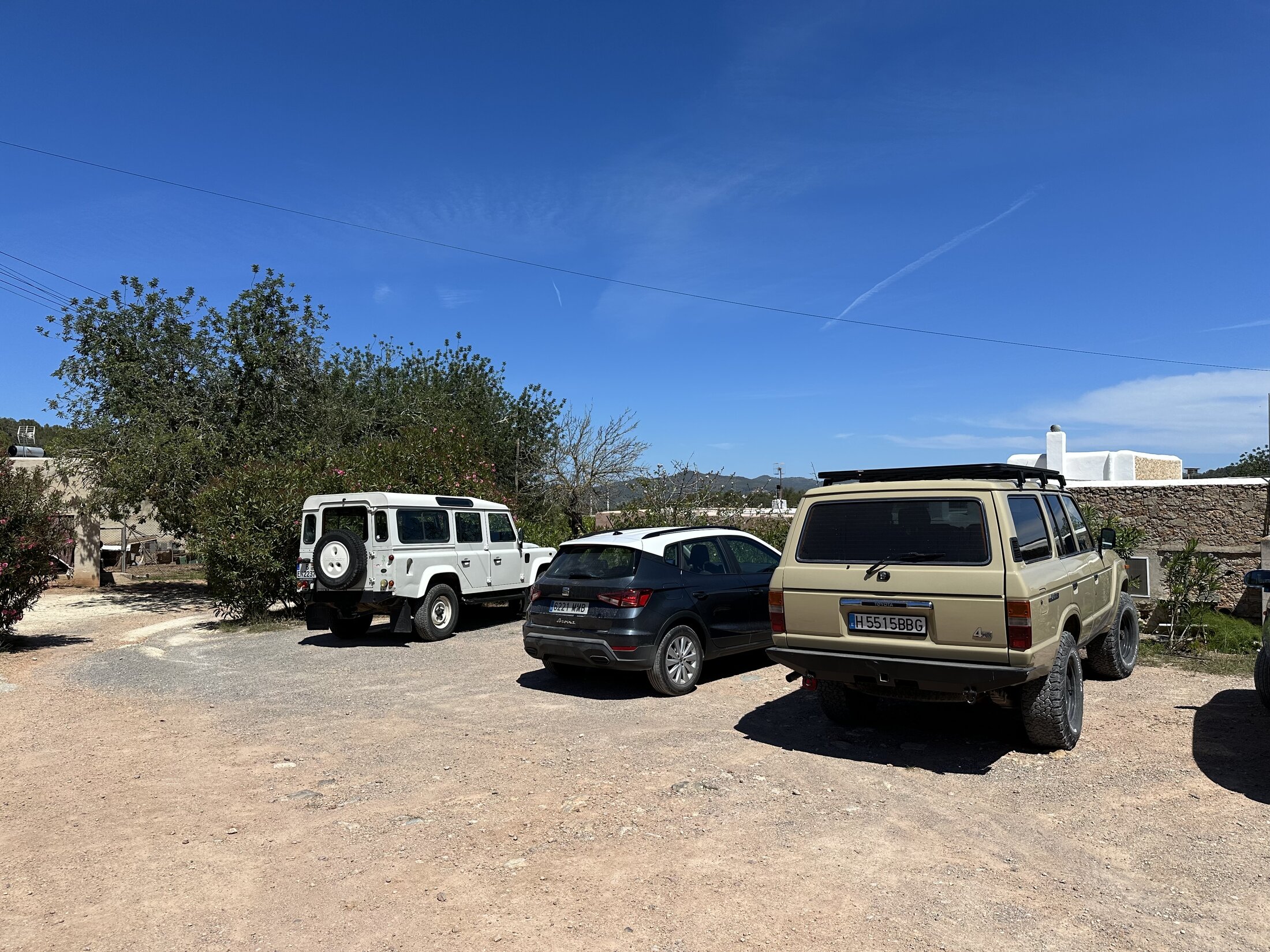 IMG_3197.jpeg