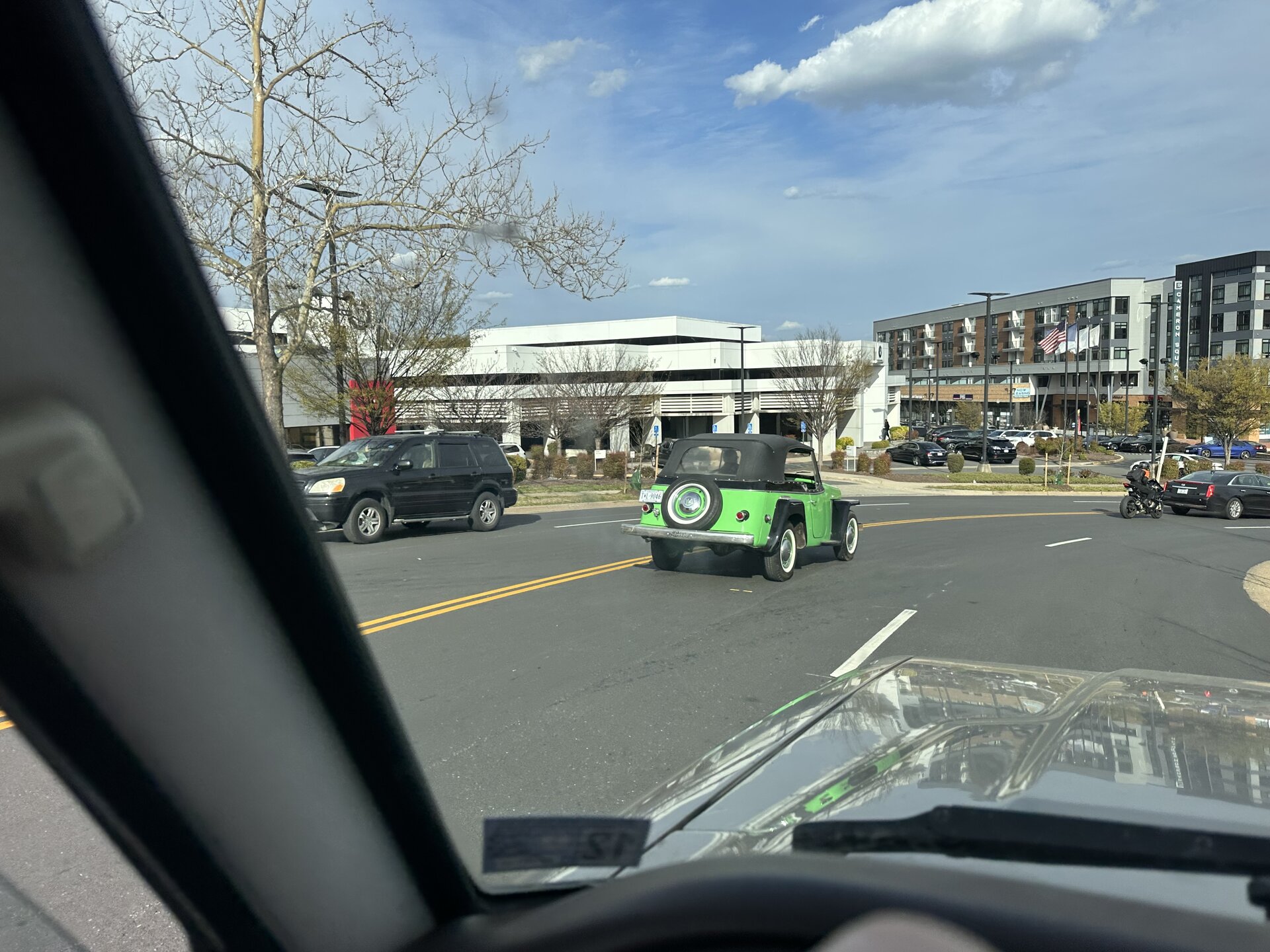 IMG_3279.jpeg