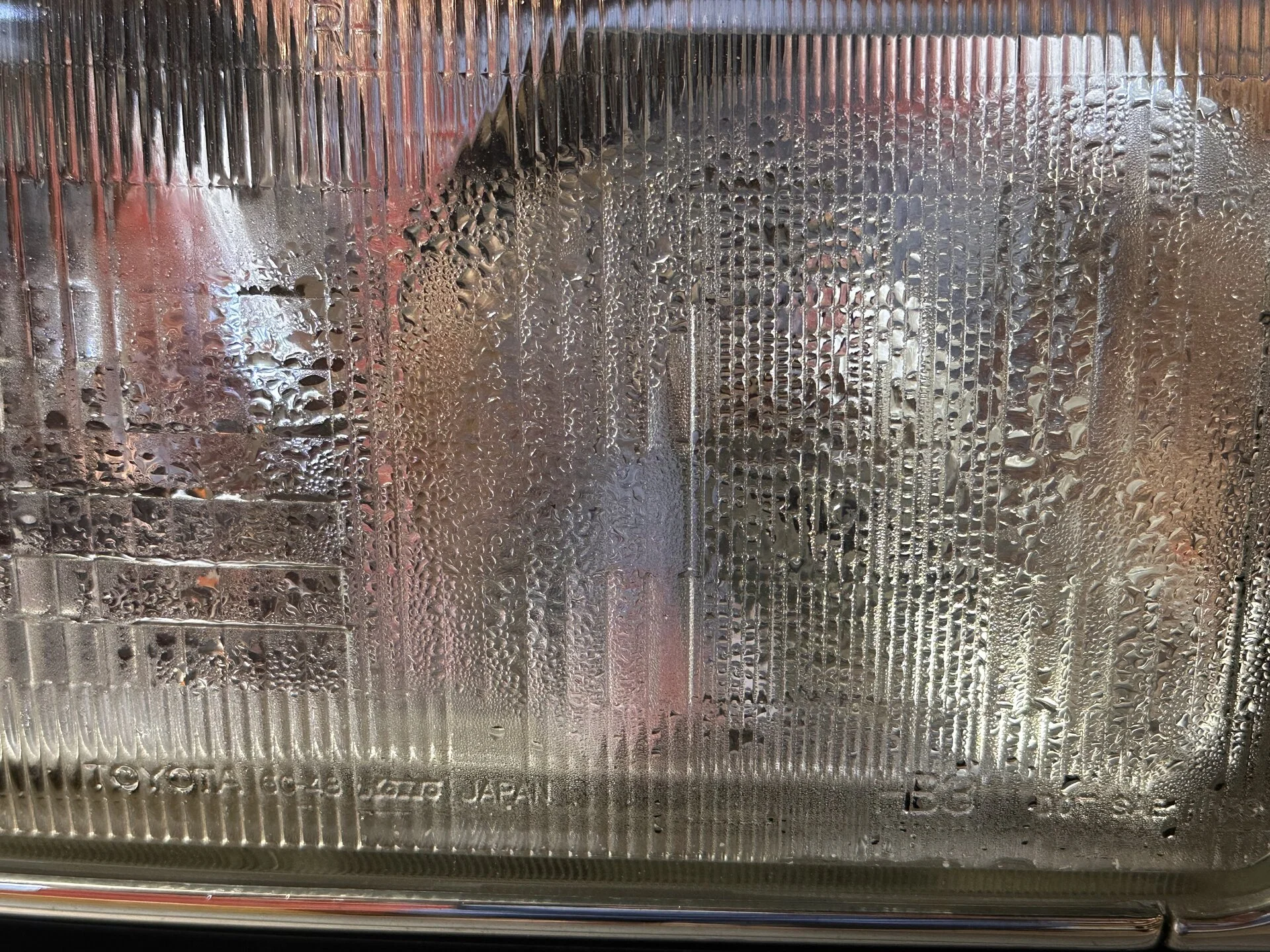IMG_3536.jpeg