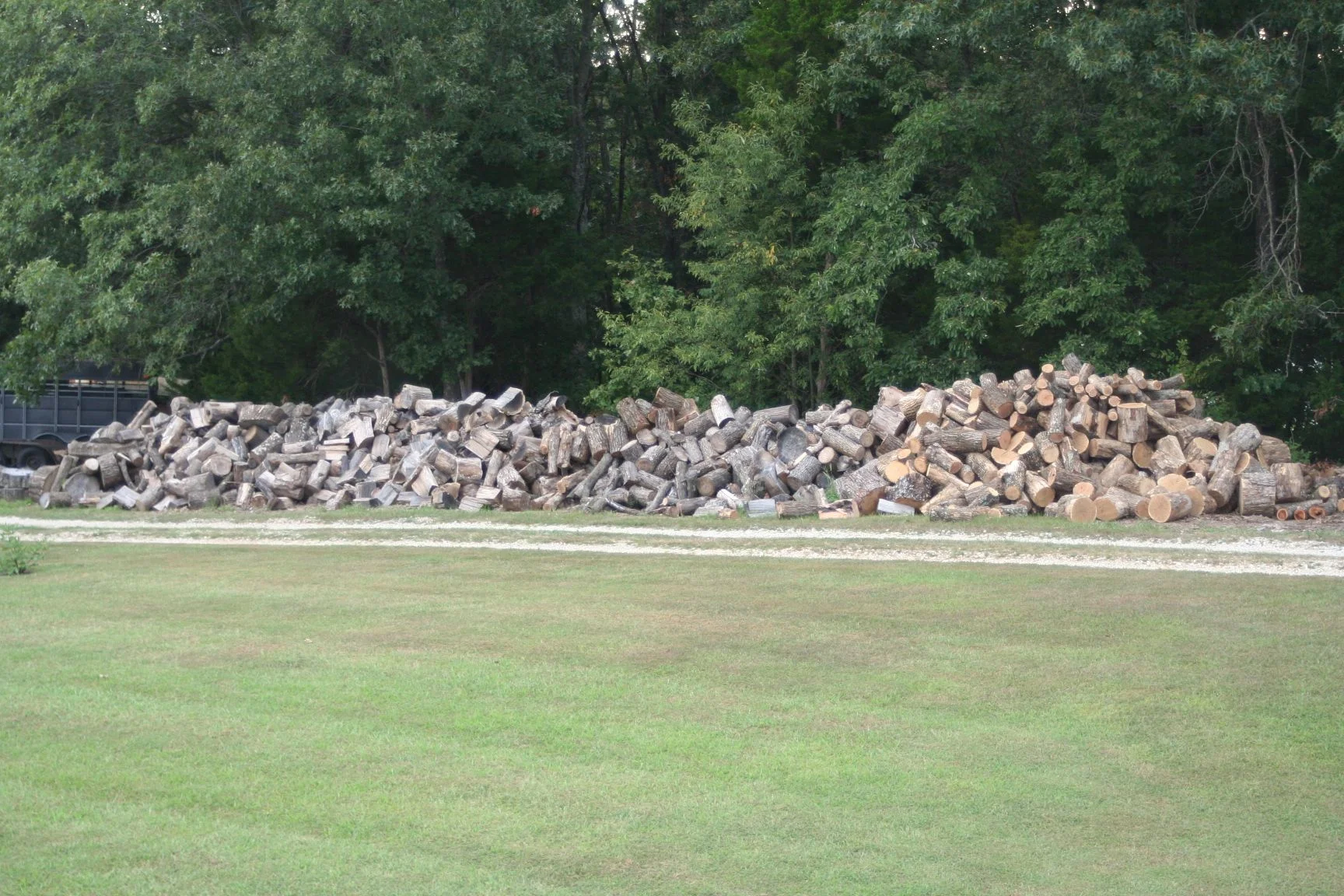 IMG_3817.webp