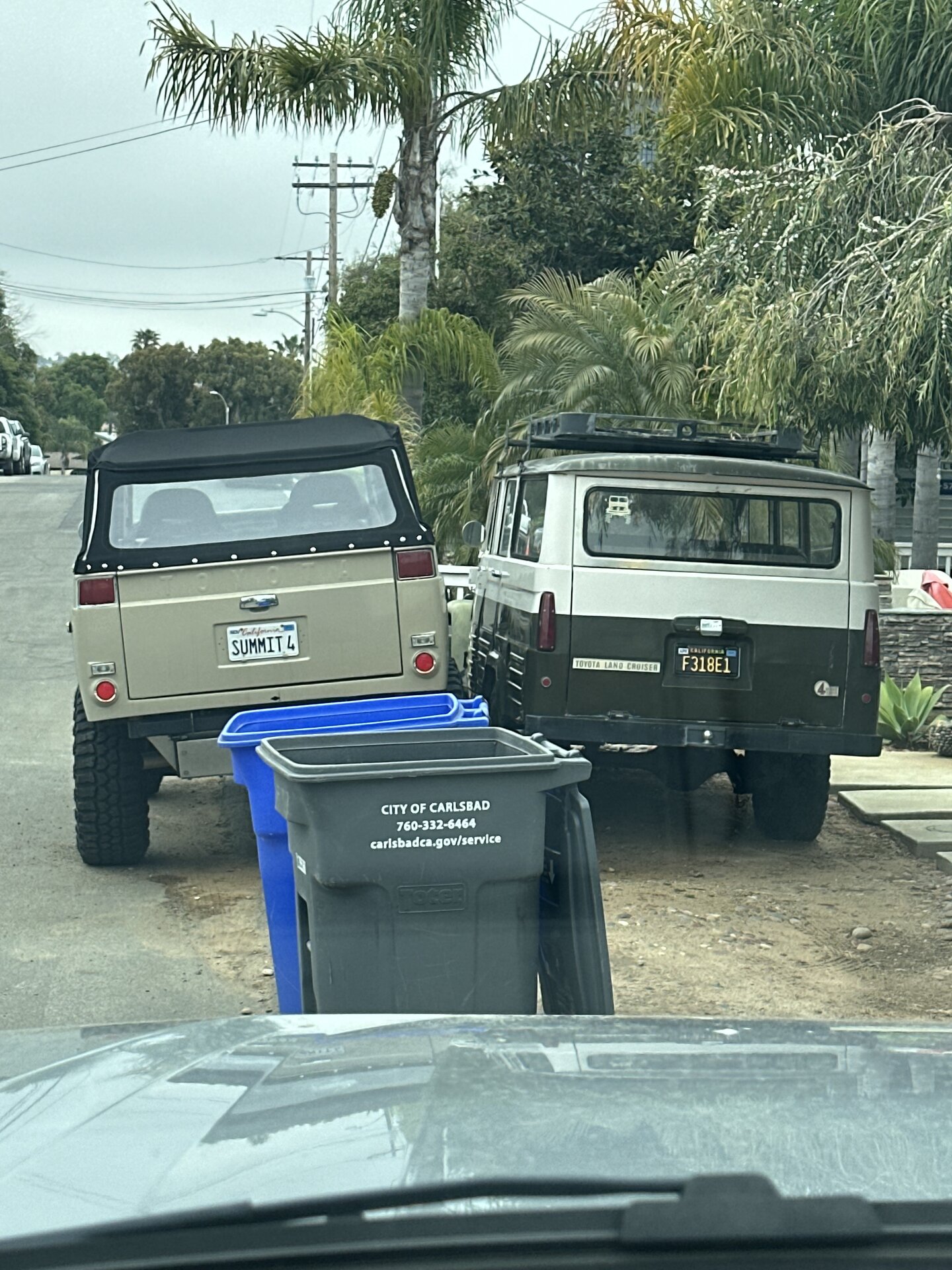 IMG_3882.jpeg
