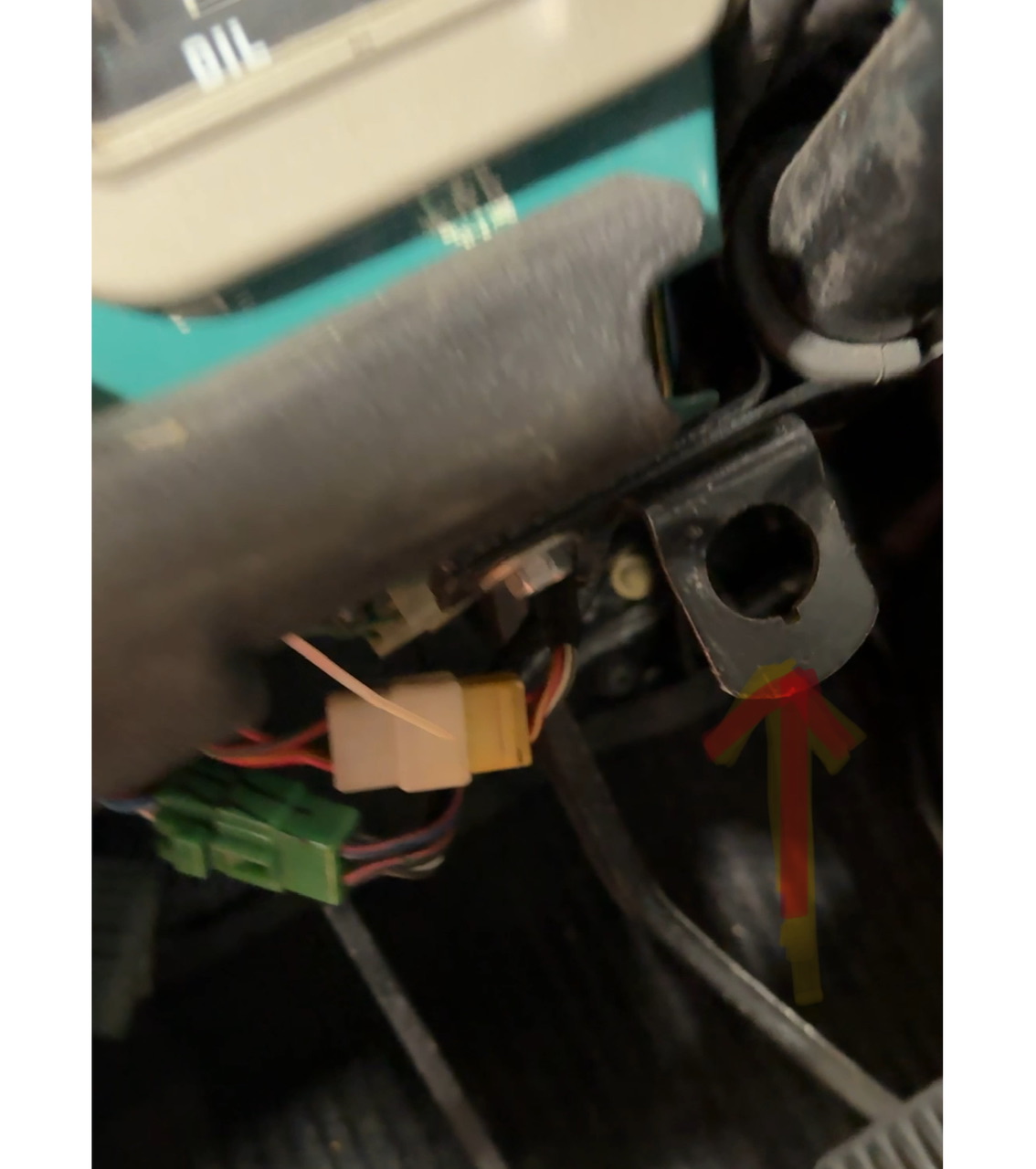 IMG_3984.jpeg