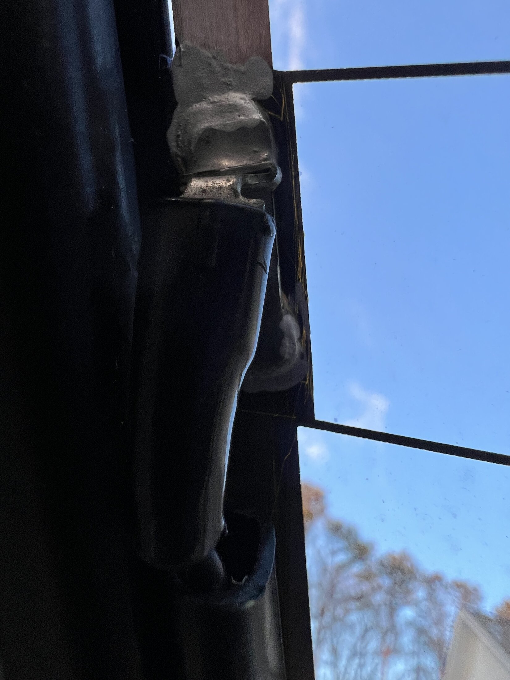 IMG_4061.jpeg