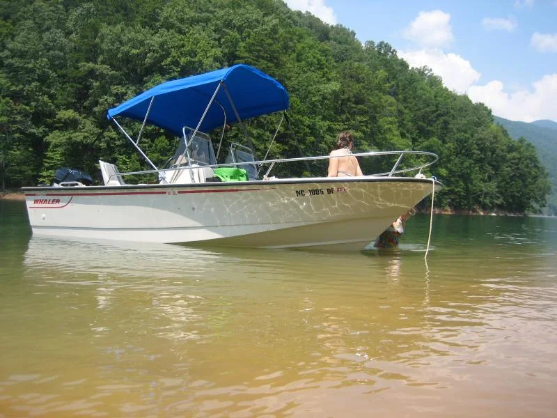 1991 Boston Whaler 16SL