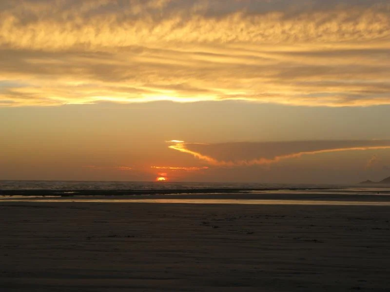 IMG_4381.webp