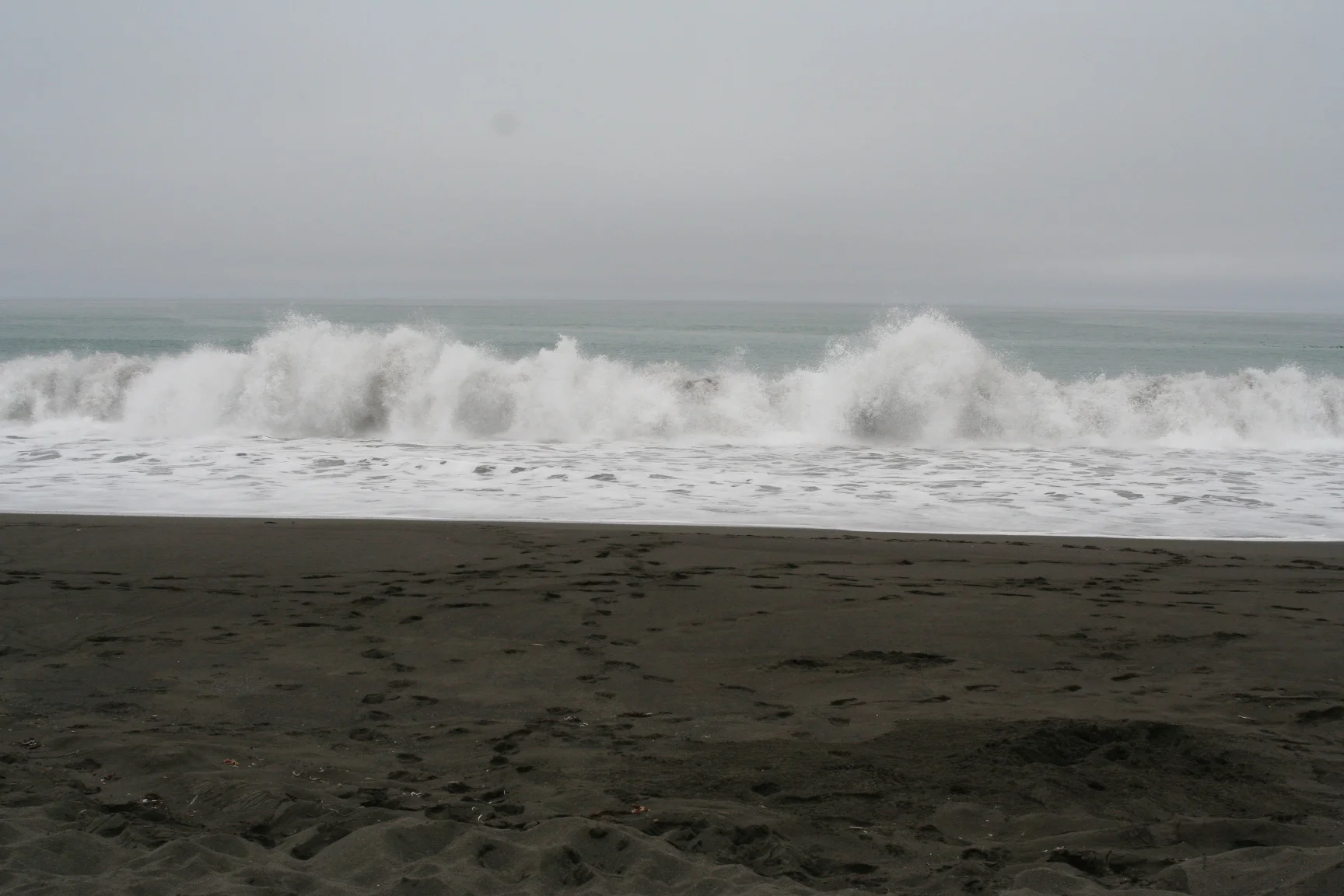 IMG_4407.webp