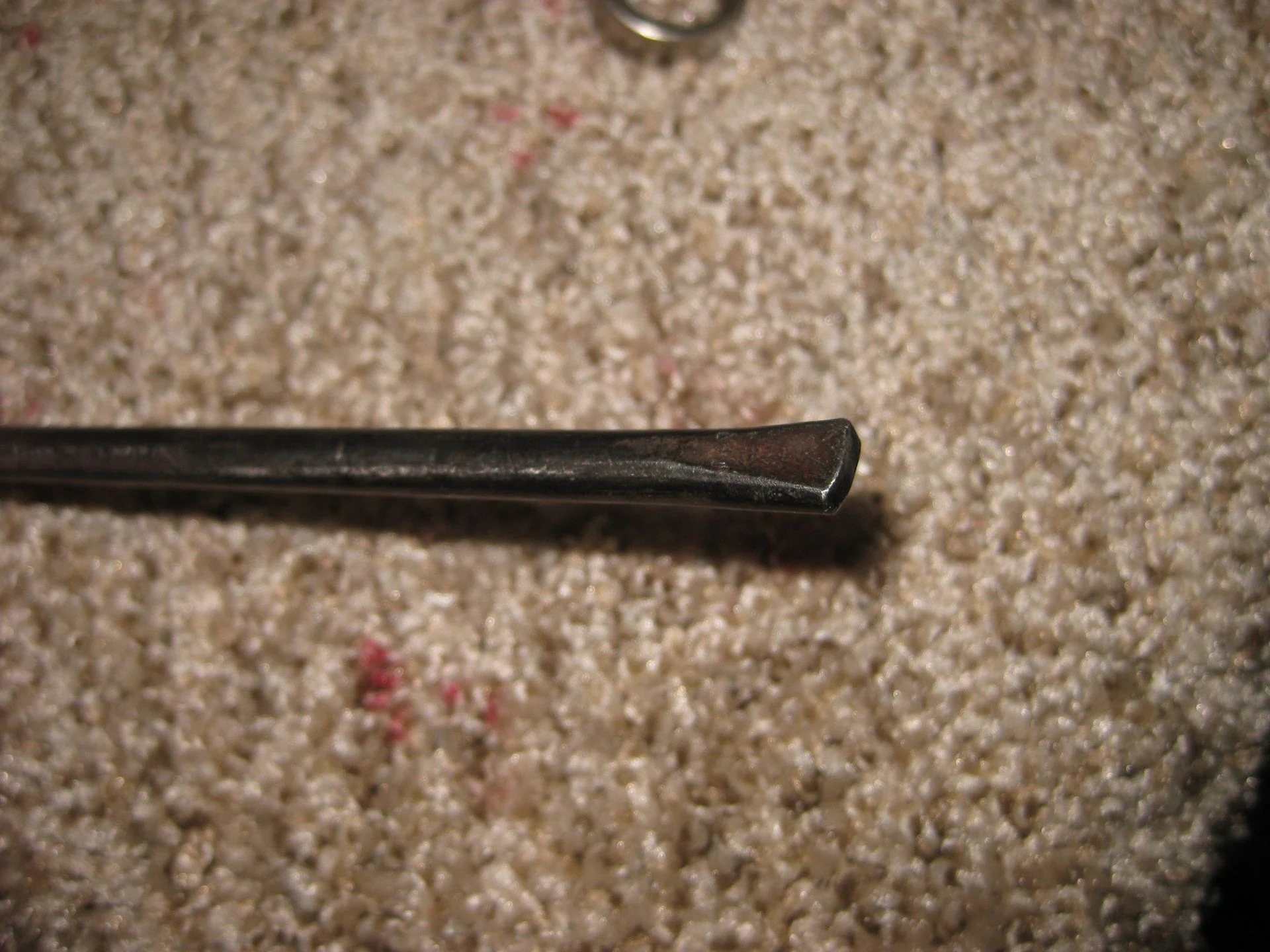 IMG_4426.webp