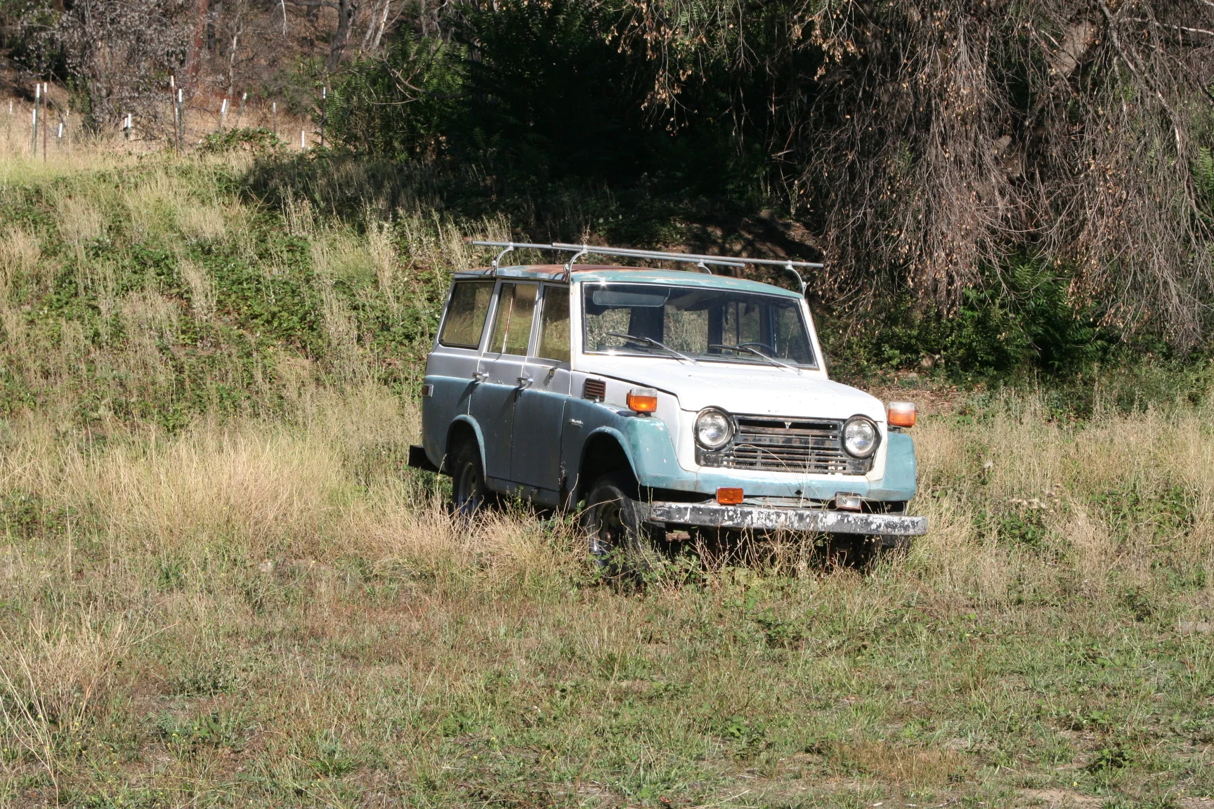 IMG_4447.webp