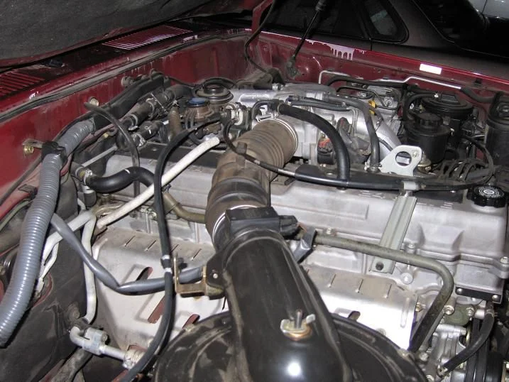 IMG_4450-1.webp
