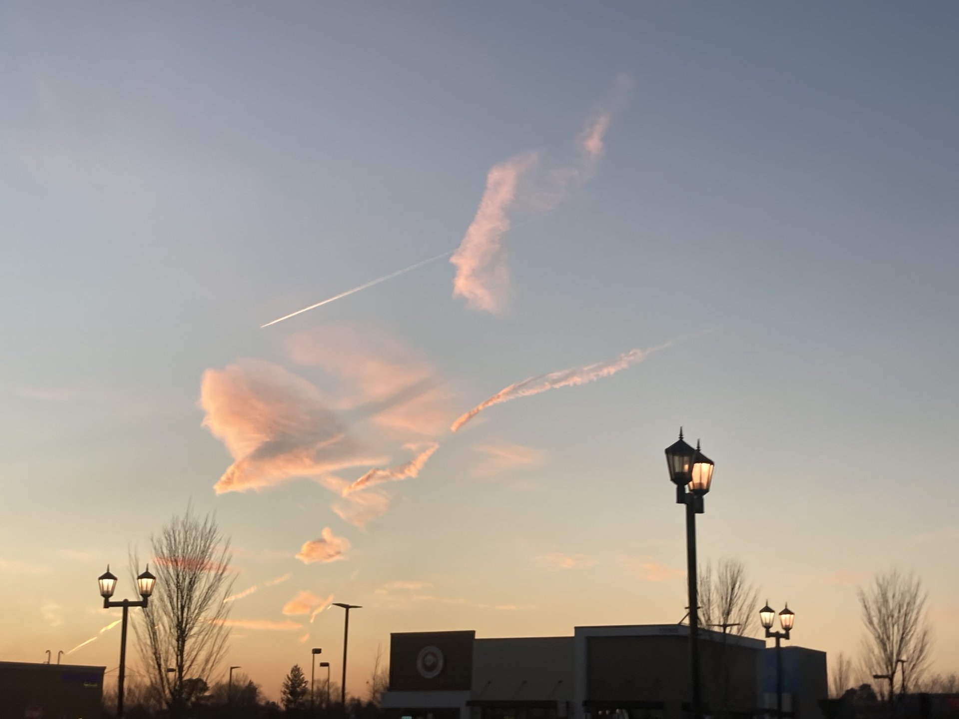 IMG_4476.jpeg