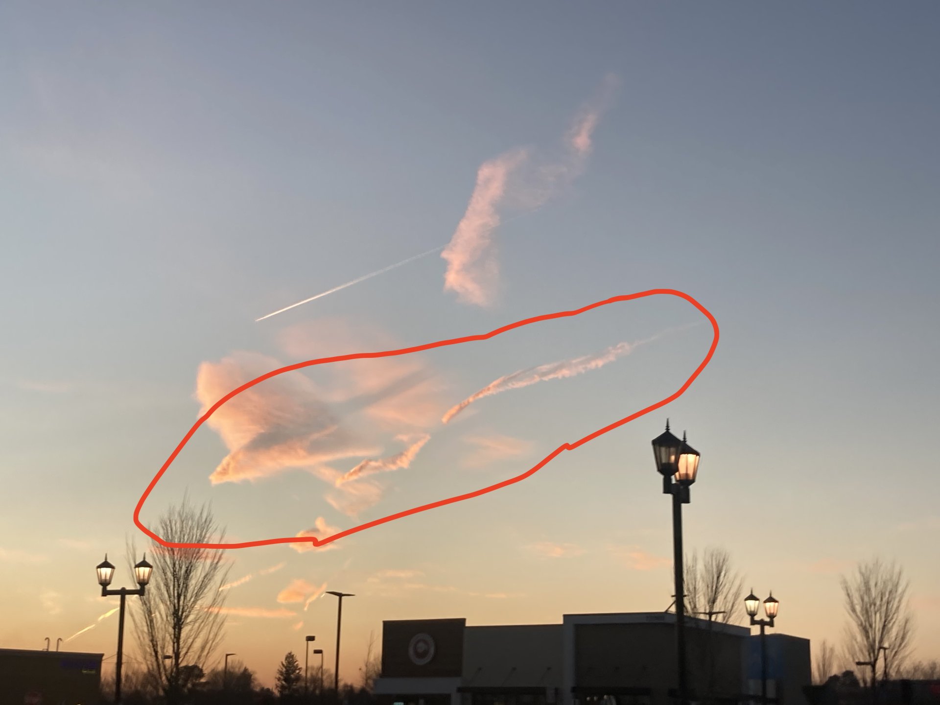 IMG_4476.jpeg