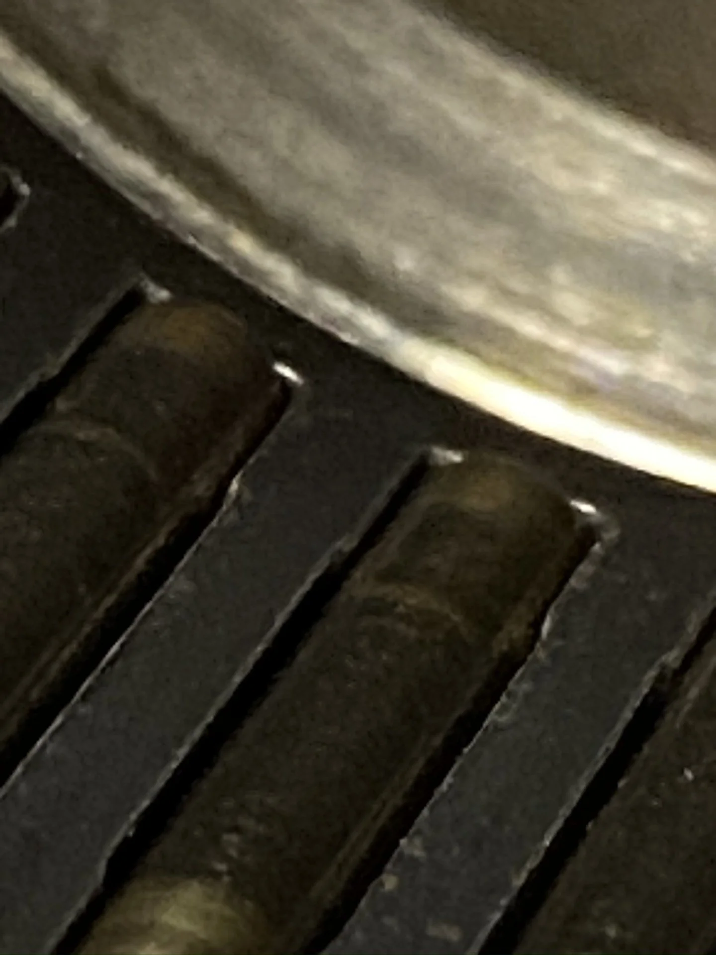 IMG_4809.JPEG