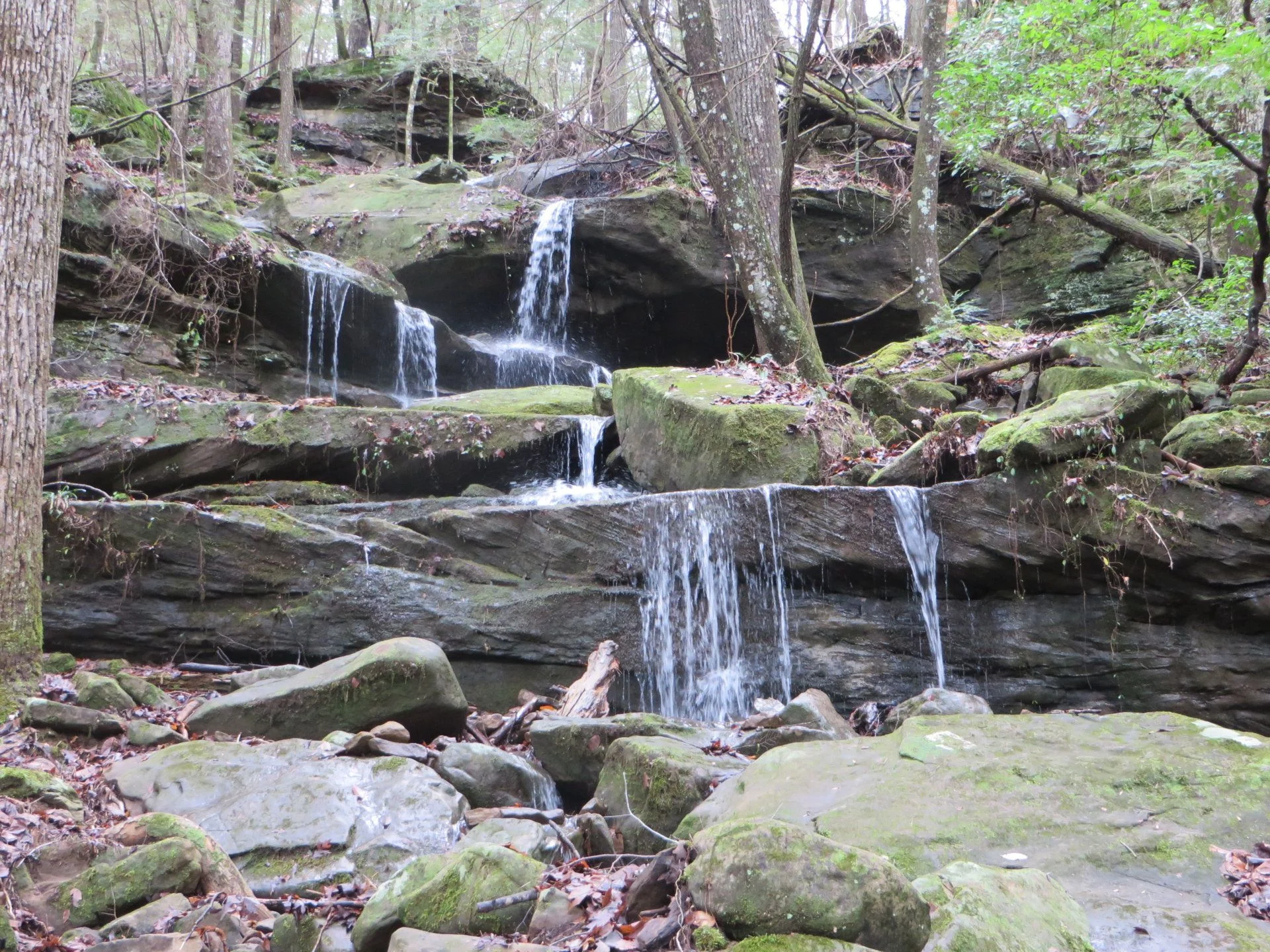 IMG_4816.webp