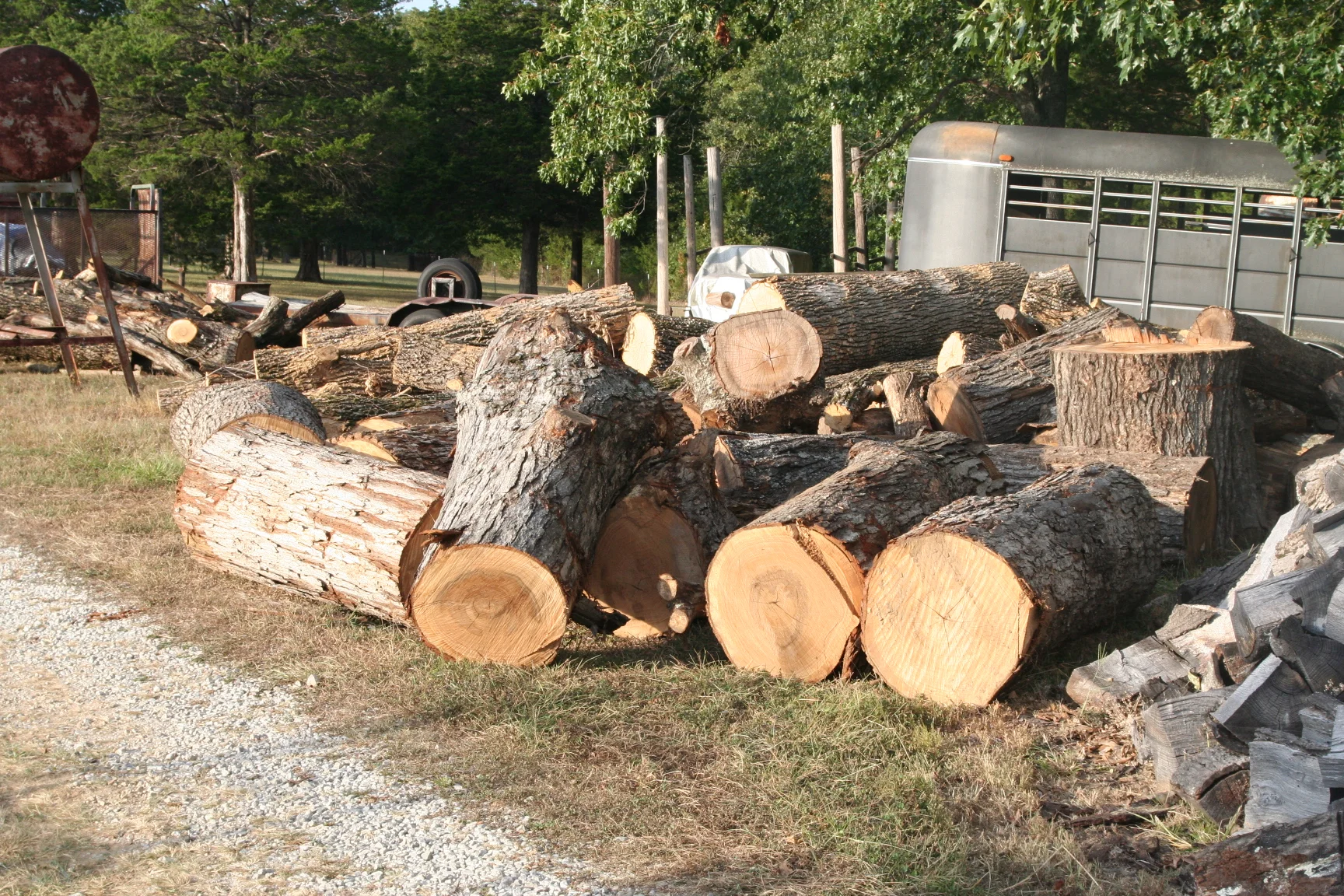 IMG_4827.webp
