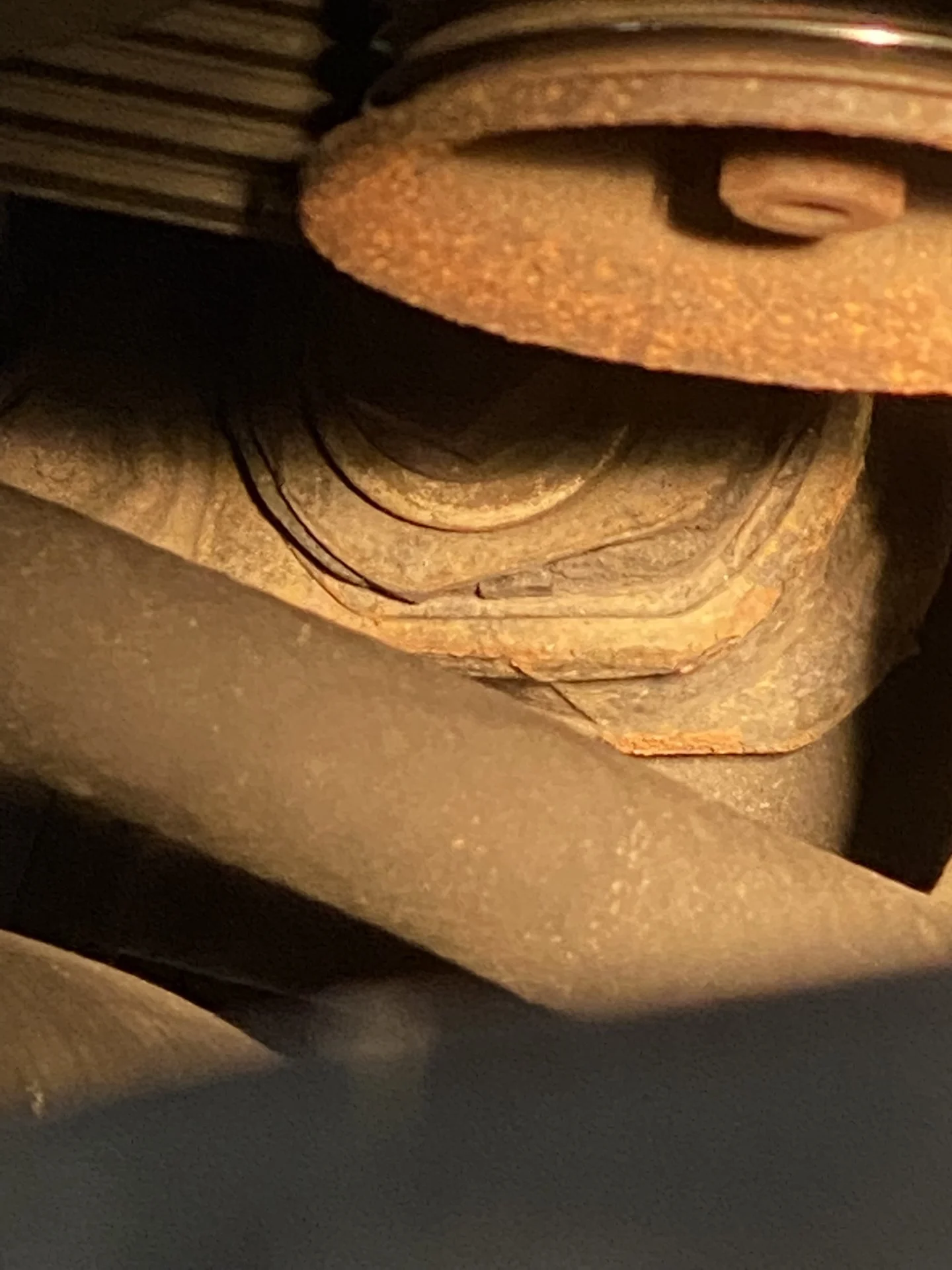 IMG_5032.JPEG