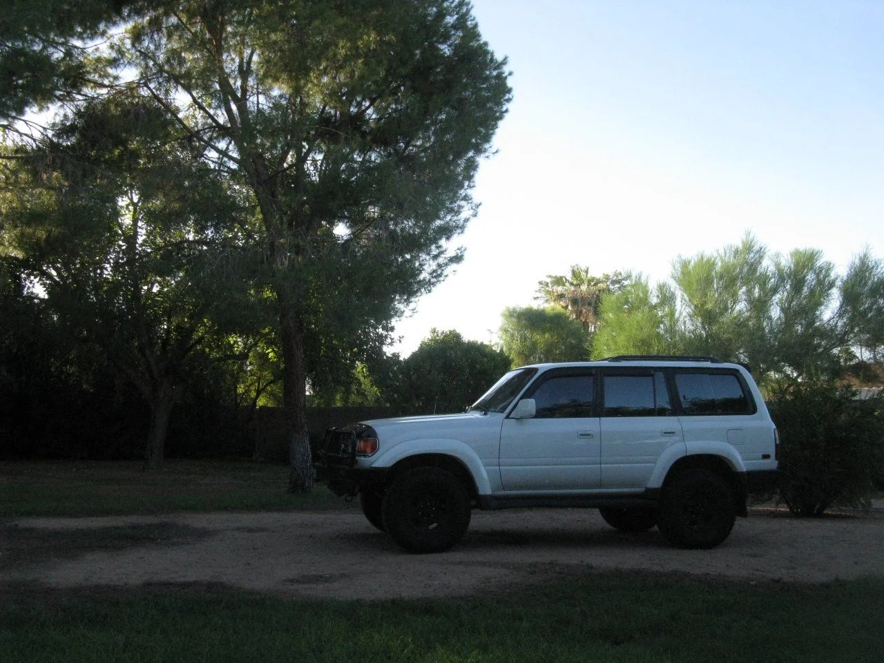 IMG_5643[1].webp