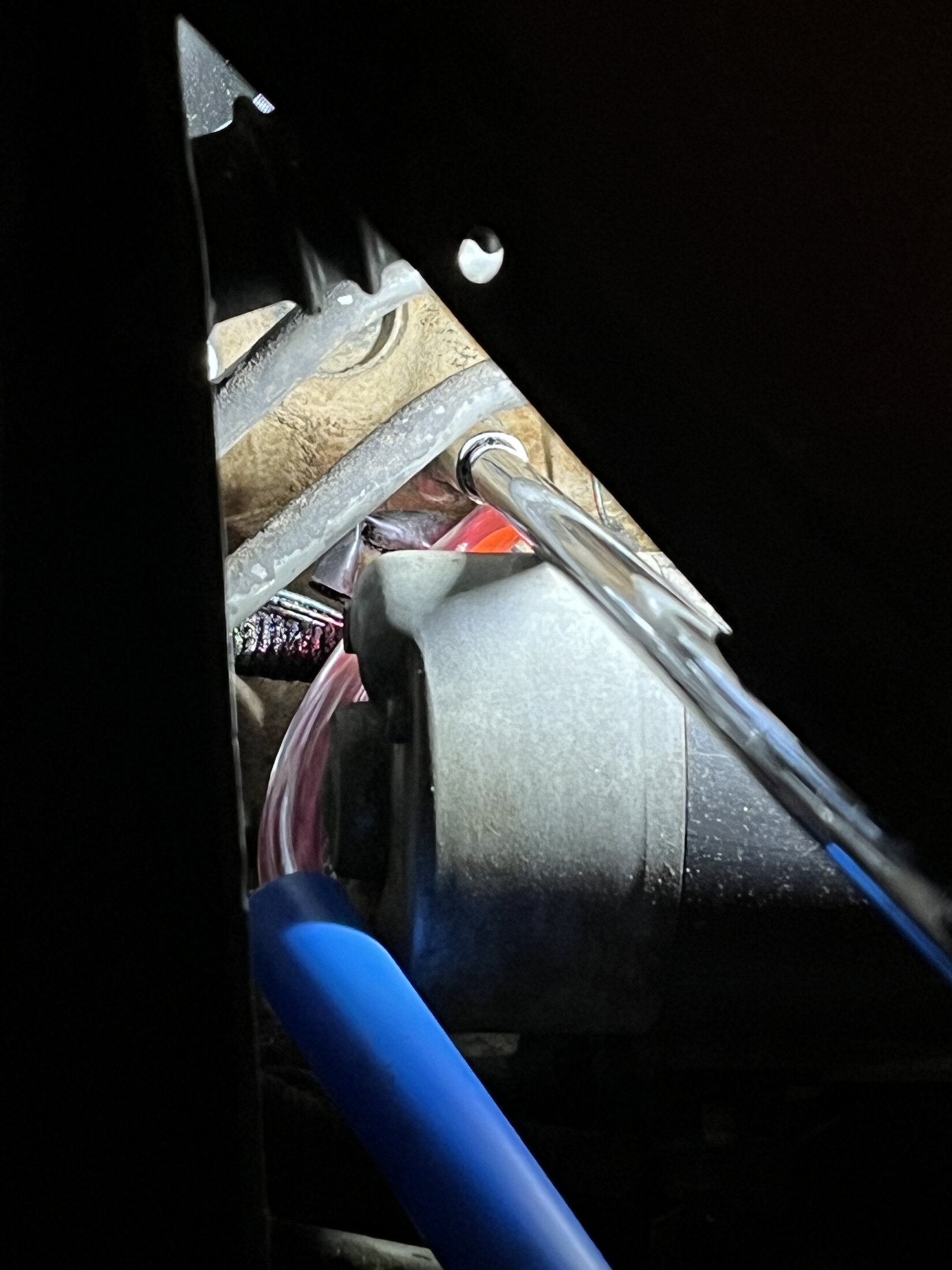 IMG_5655.jpeg